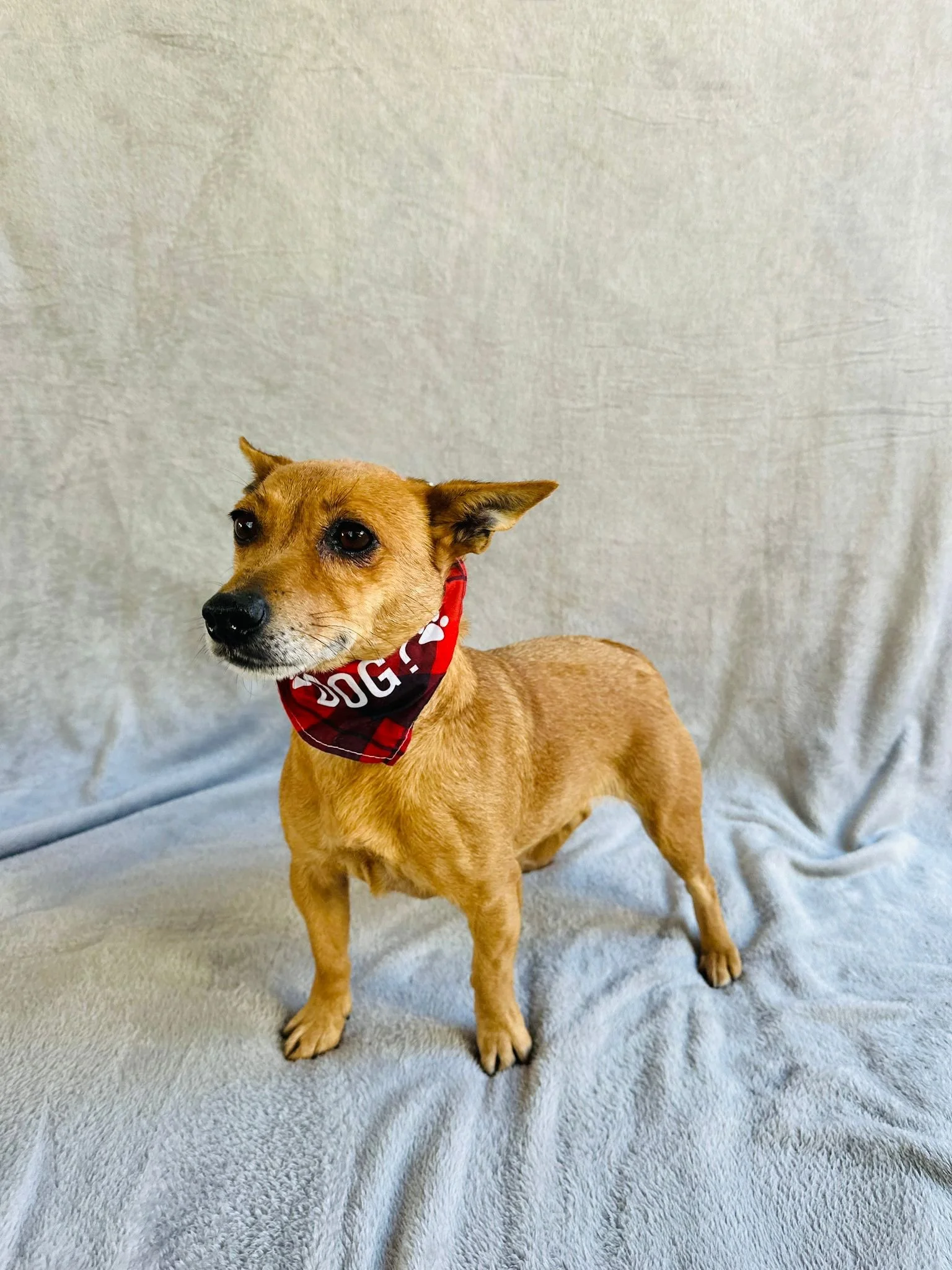 WhatsApp Image 2026-01-01 at 11.59.02 (2).jpeg