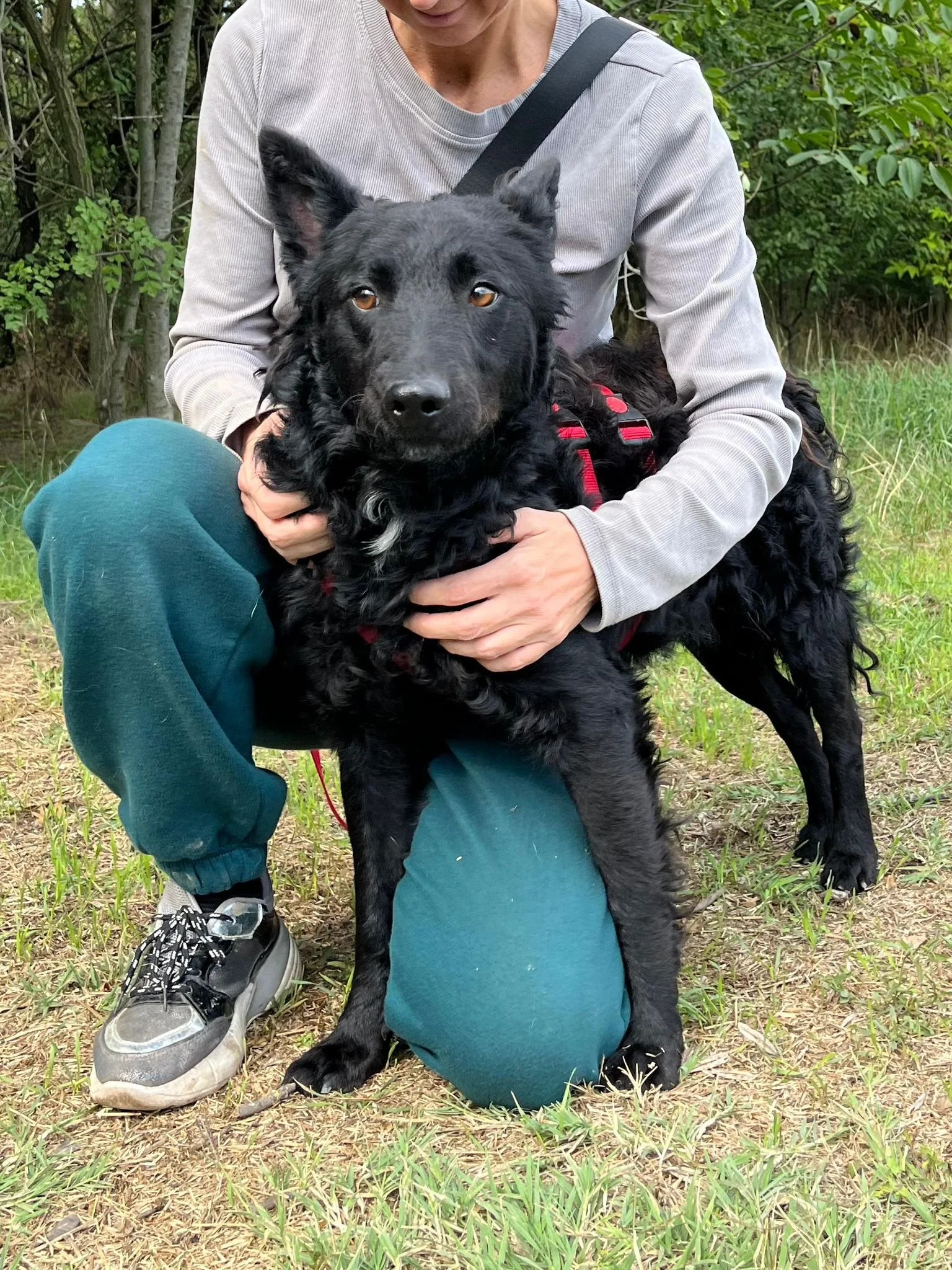 WhatsApp Image 2025-10-28 at 16.52.50.jpeg