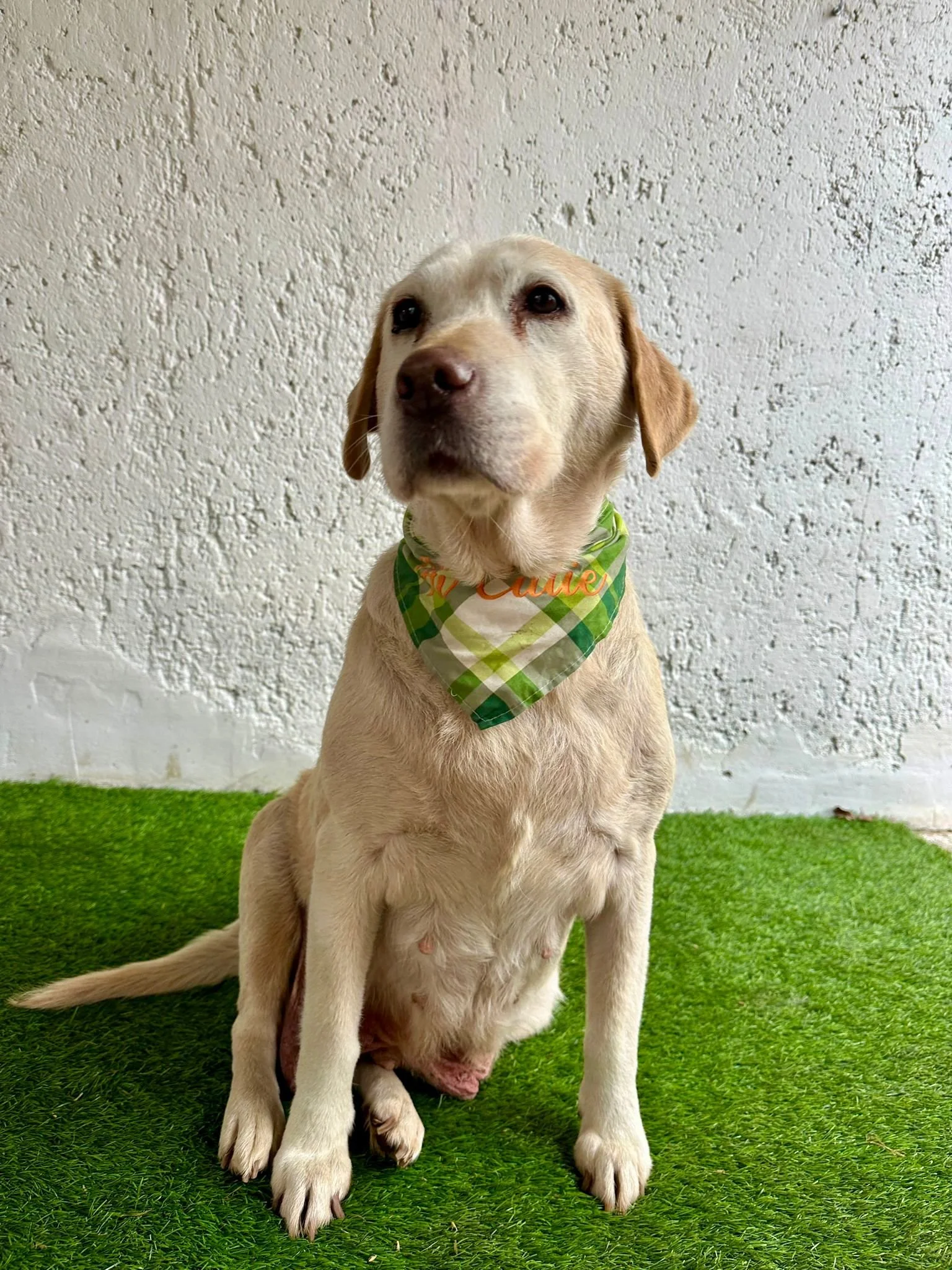 WhatsApp Image 2026-01-01 at 12.37.31.jpeg