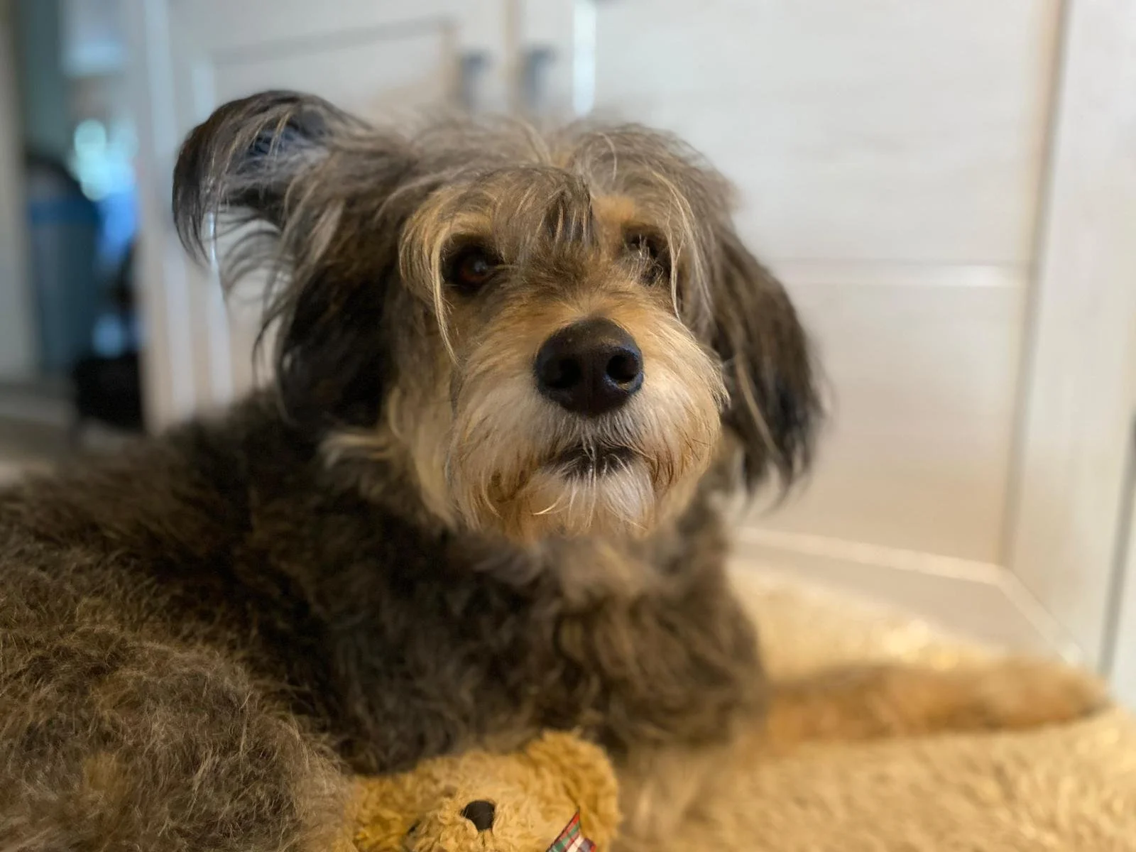 WhatsApp Image 2026-01-10 at 12.02.52 (1).jpeg