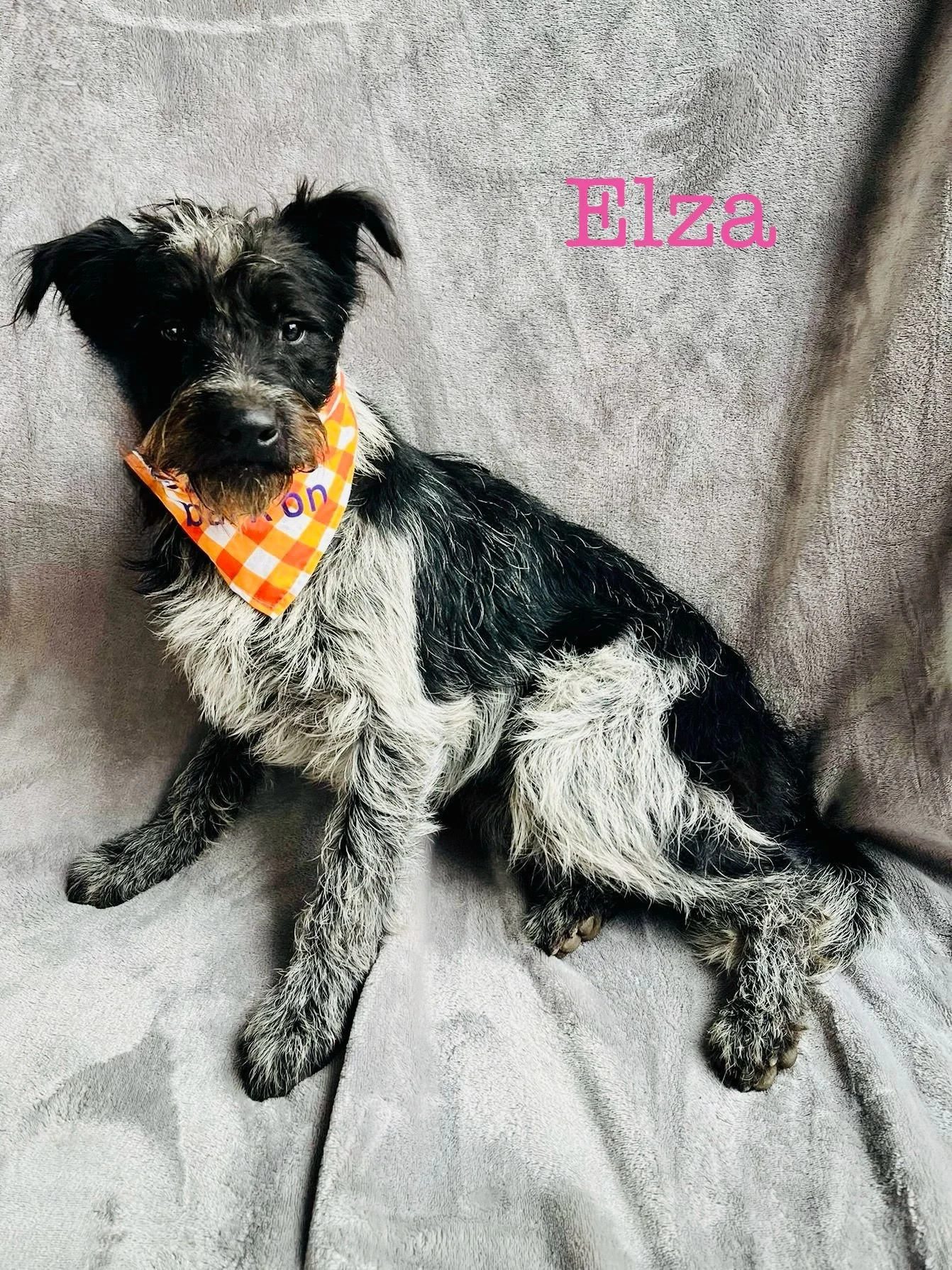 WhatsApp Image 2026-01-03 at 17.56.42 (1).jpeg