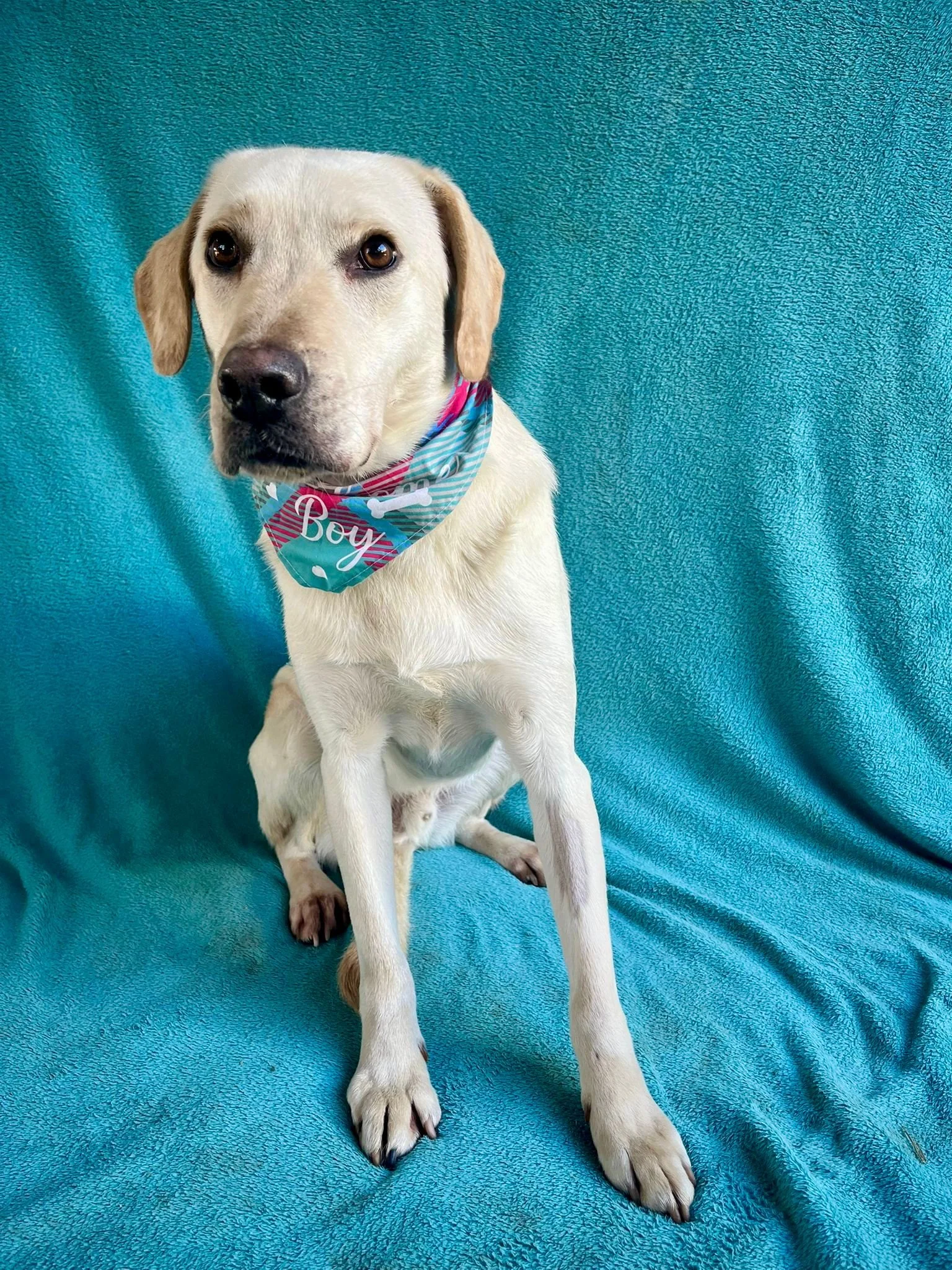 WhatsApp Image 2026-01-01 at 19.16.37.jpeg