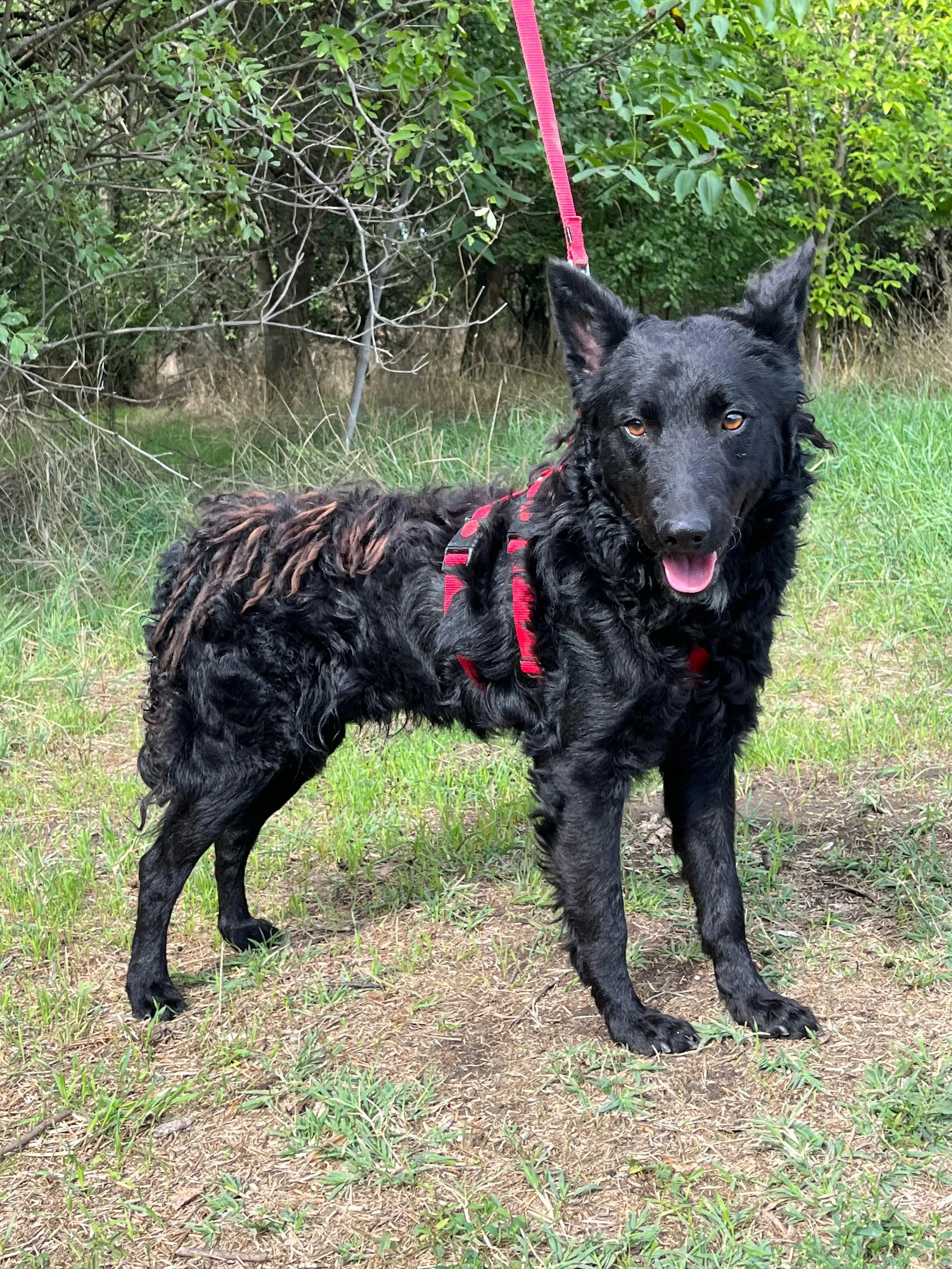 WhatsApp Image 2025-10-28 at 16.52.57 (2).jpeg