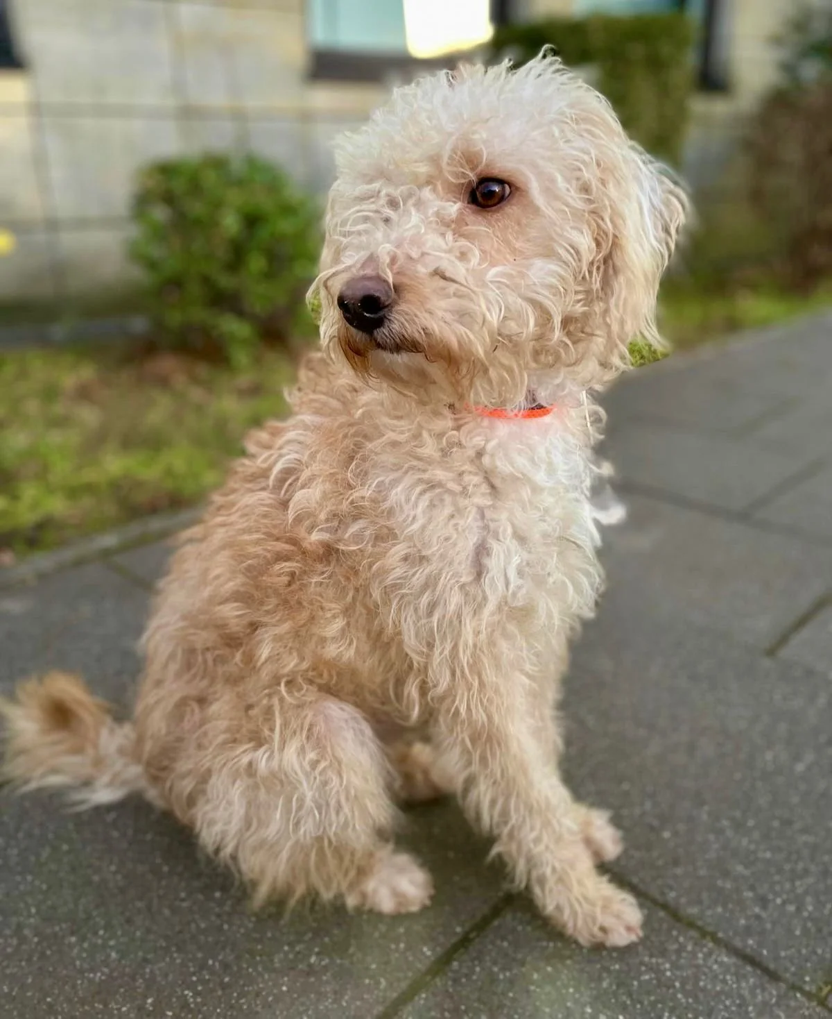 WhatsApp Image 2025-12-31 at 11.04.34 (1).jpeg