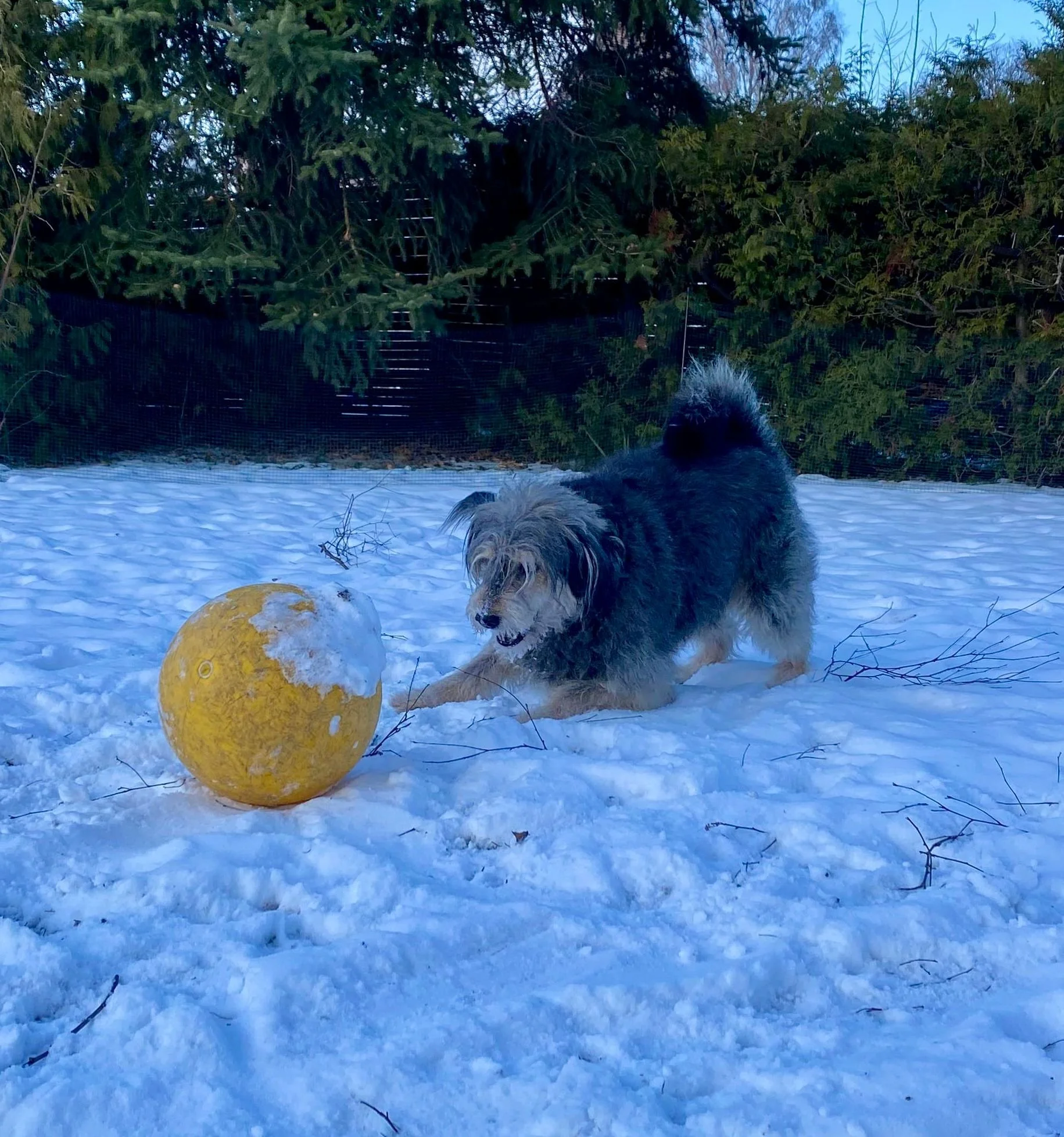 WhatsApp Image 2026-01-10 at 12.02.46 (2).jpeg