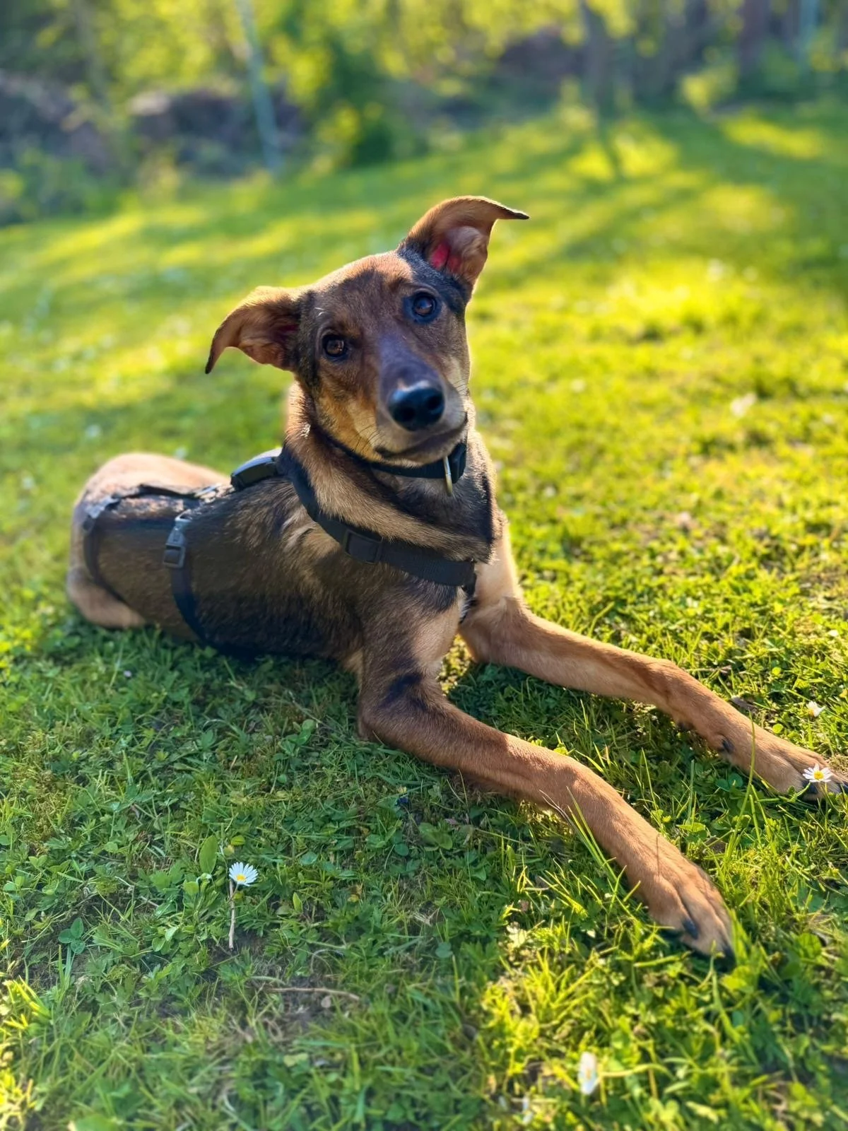 c5977357-7c7e-43d1-b527-f71239672b10.jpeg