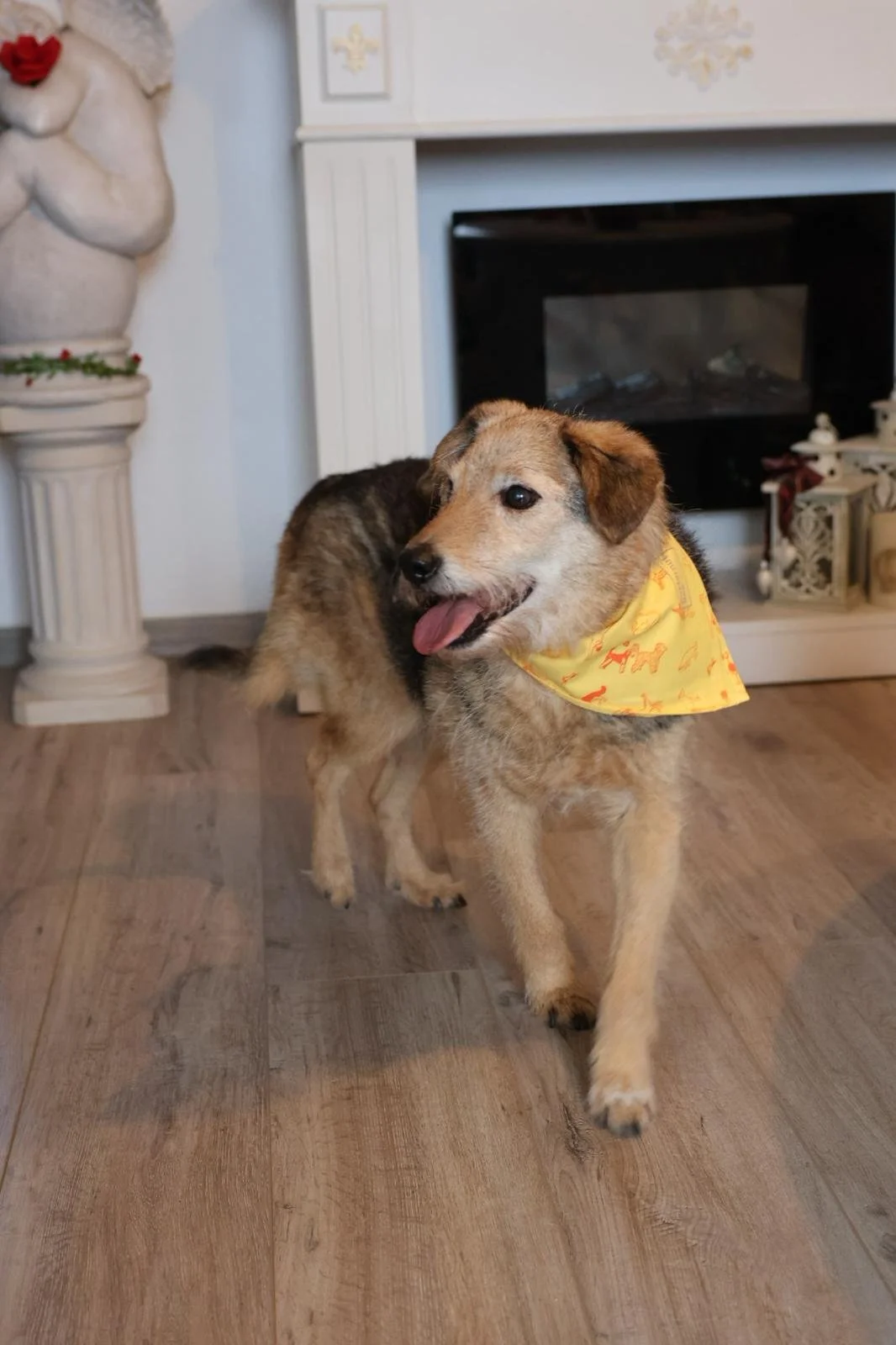 WhatsApp Image 2026-01-24 at 19.38.52 (3).jpeg