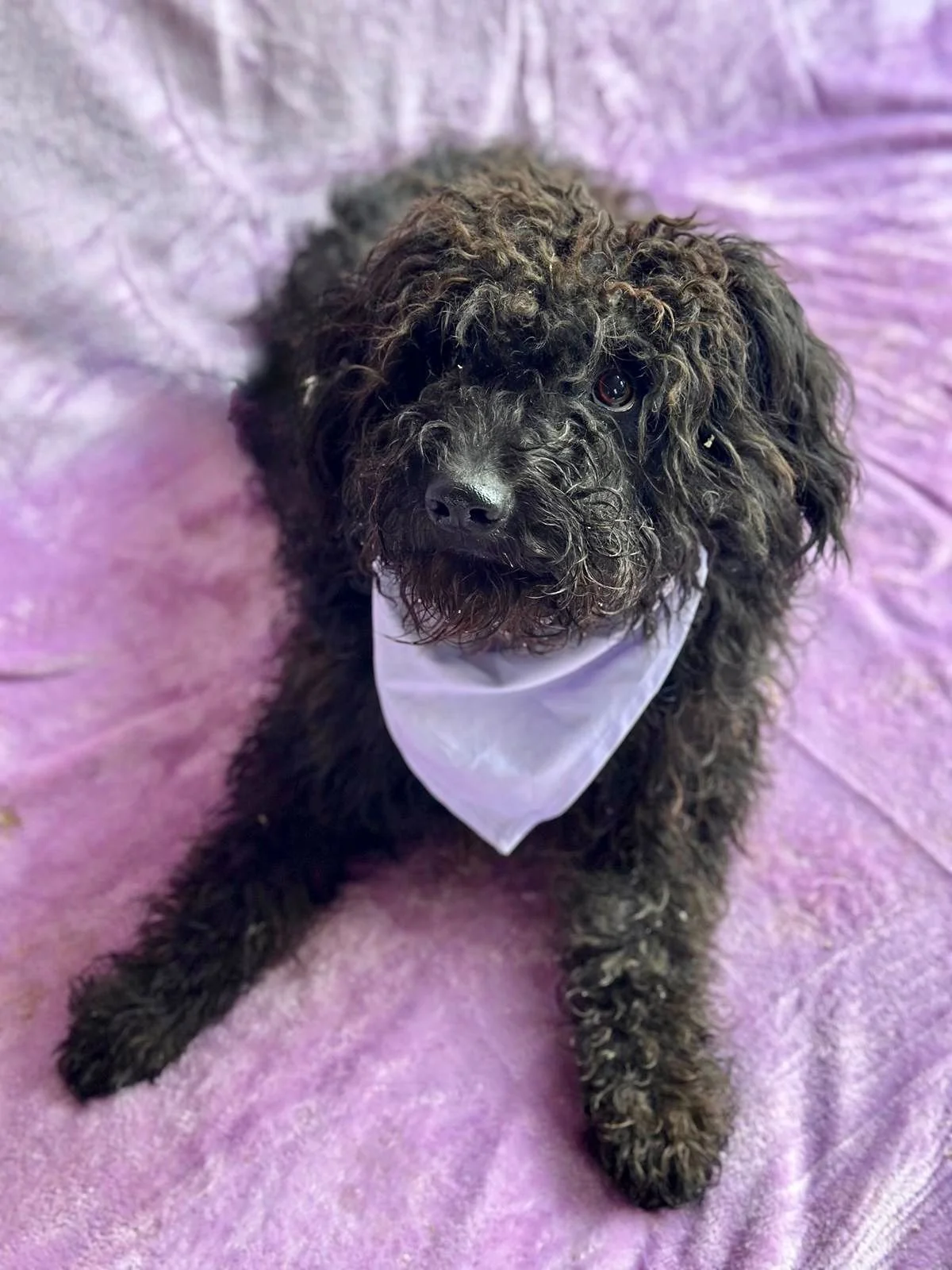 WhatsApp Image 2026-01-20 at 15.53.39 (3).jpeg