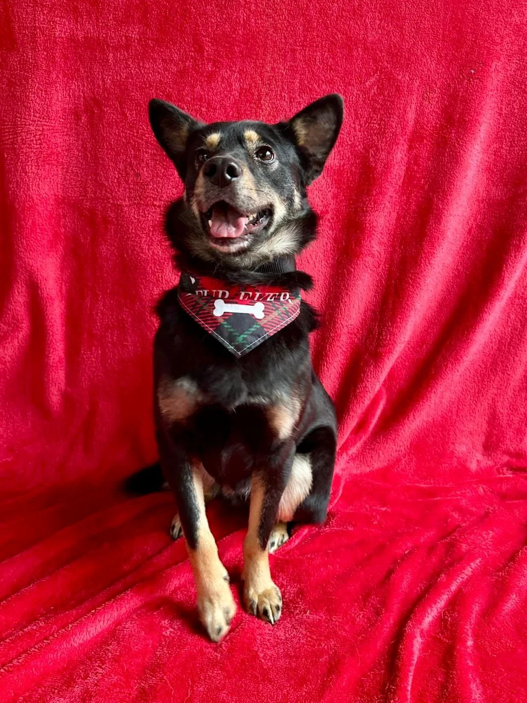 WhatsApp Image 2026-01-01 at 13.24.55 (1).jpeg