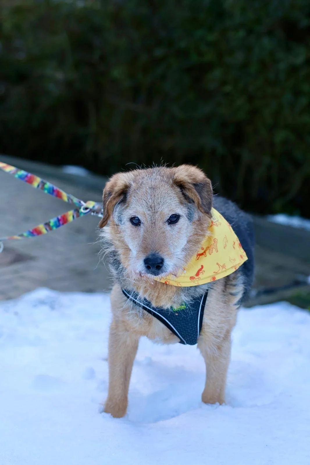 WhatsApp Image 2026-01-24 at 19.38.54.jpeg