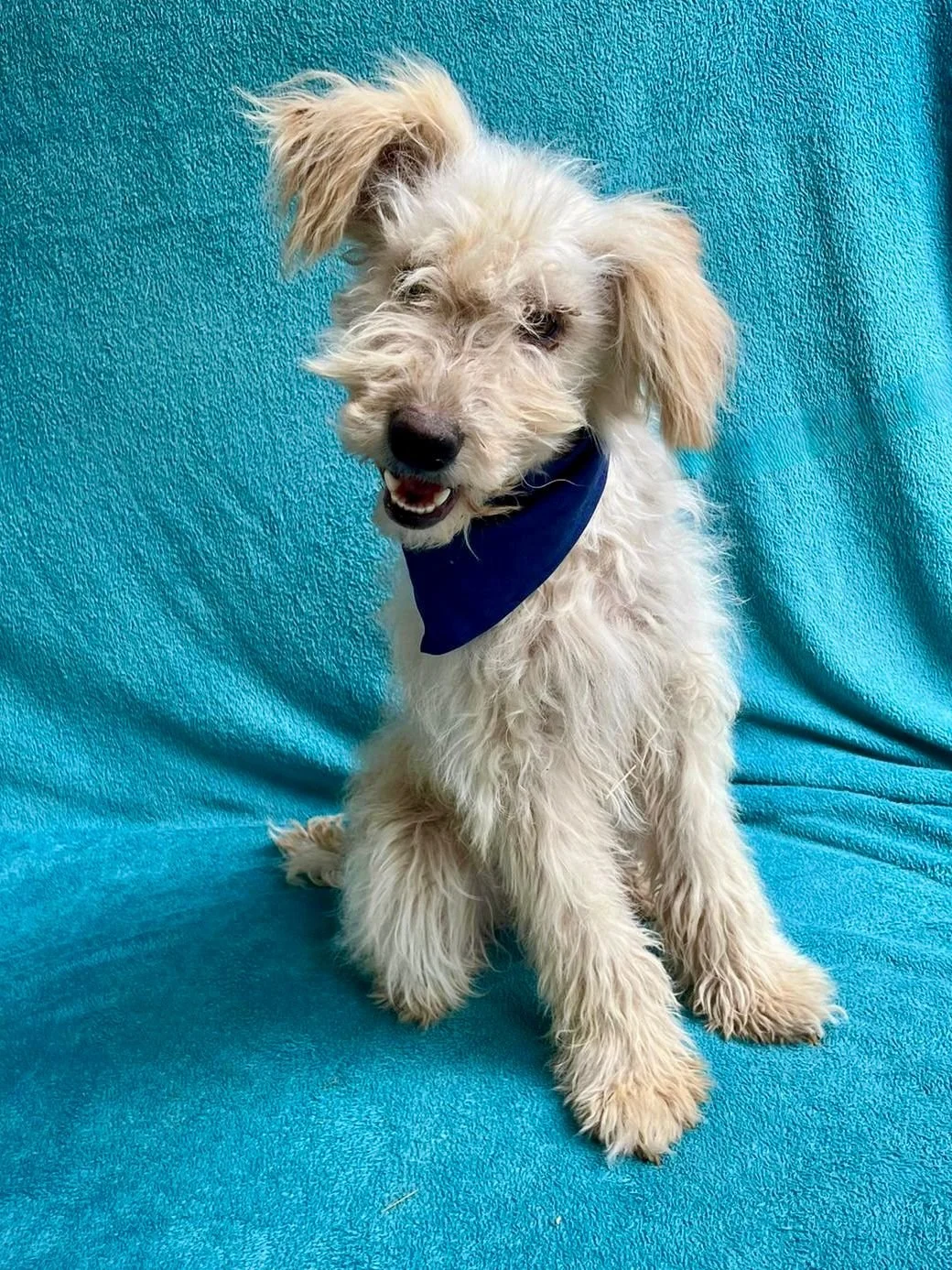 WhatsApp Image 2025-10-31 at 10.04.24.jpeg