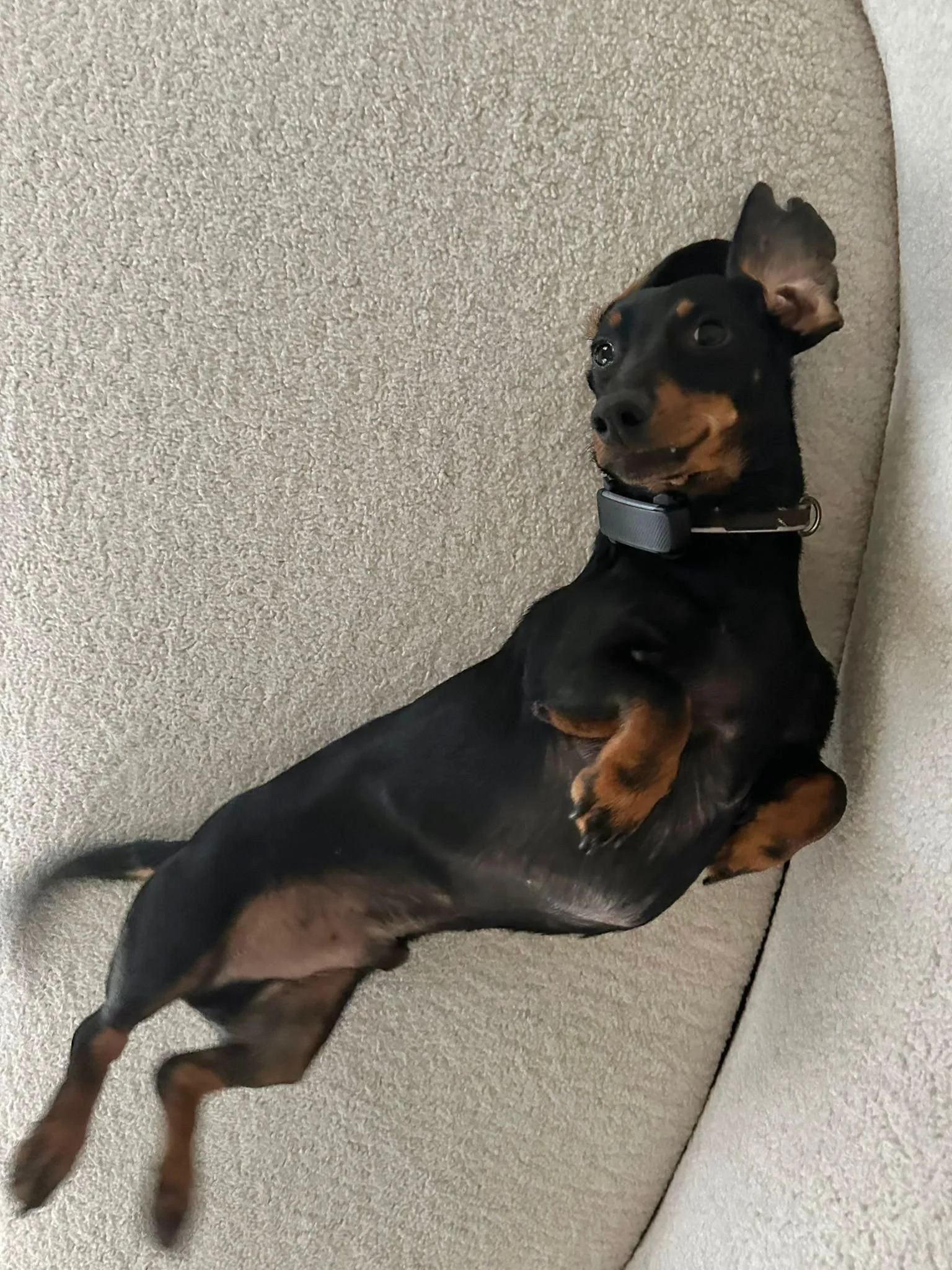 WhatsApp Image 2025-11-17 at 10.34.37 (2).jpeg