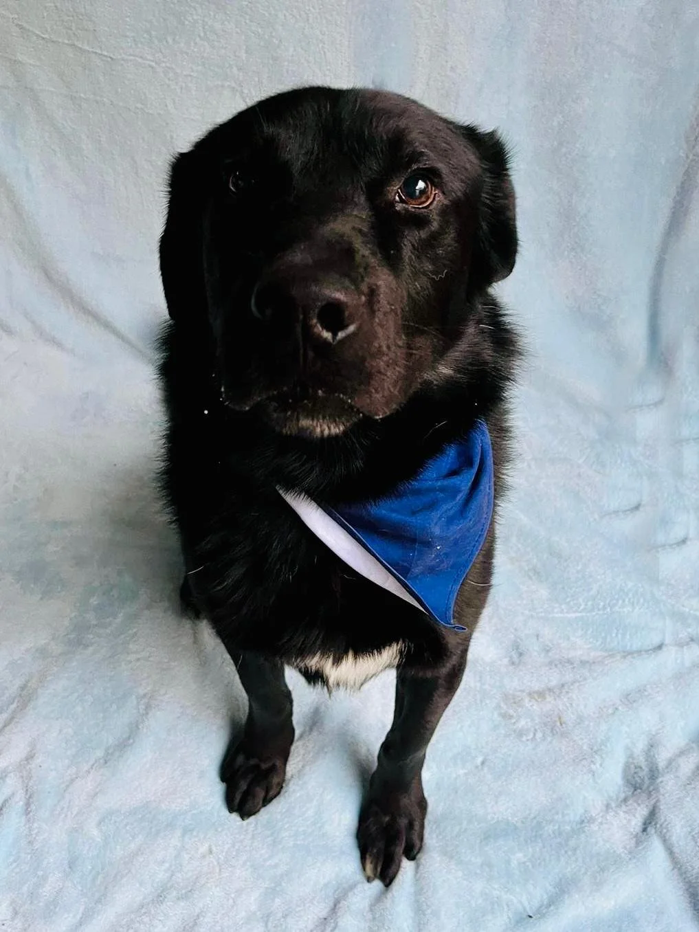 WhatsApp Image 2025-10-31 at 11.19.48.jpeg