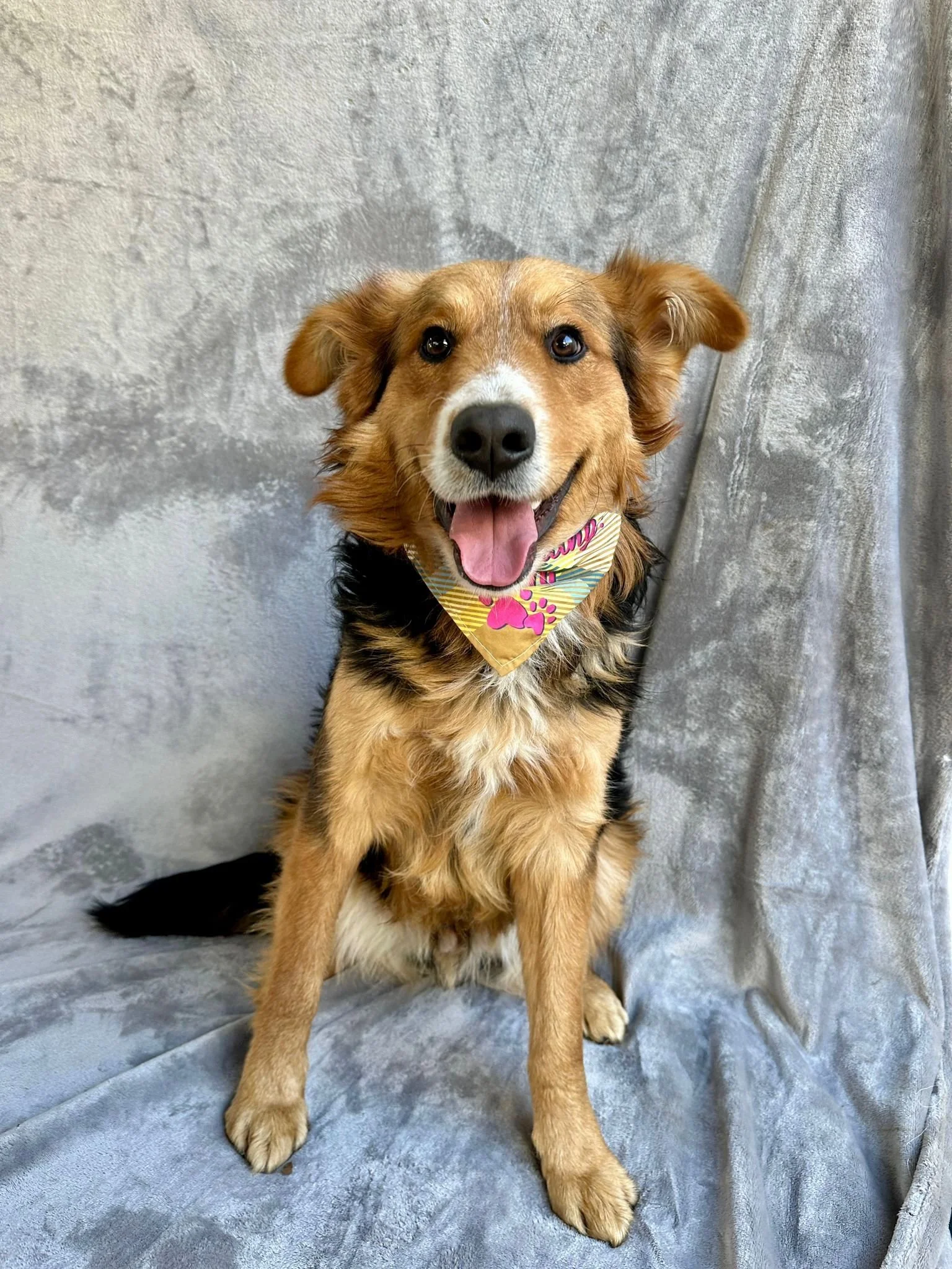 WhatsApp Image 2026-01-09 at 20.26.00 (1).jpeg