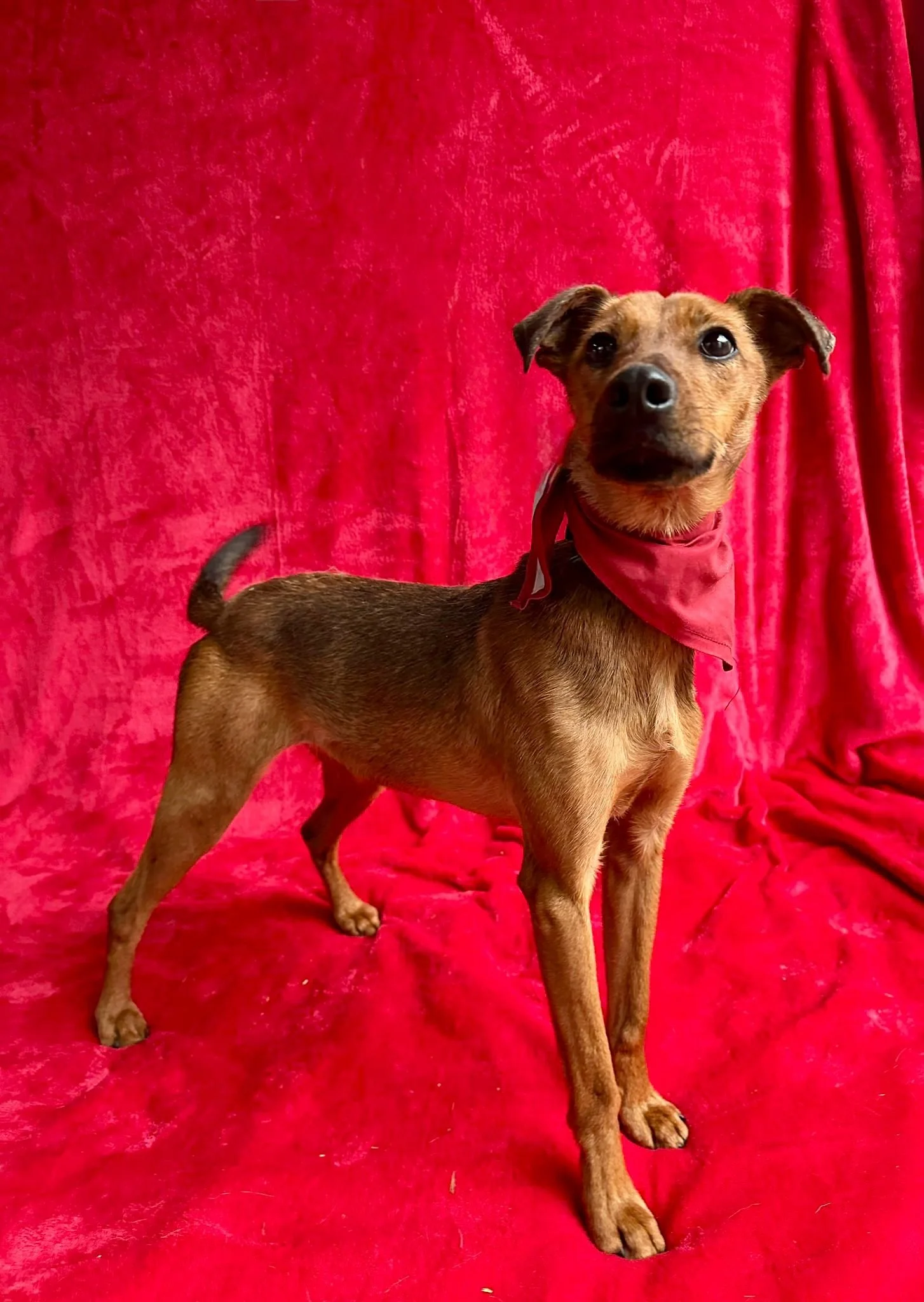 WhatsApp Image 2026-01-03 at 11.24.27.jpeg