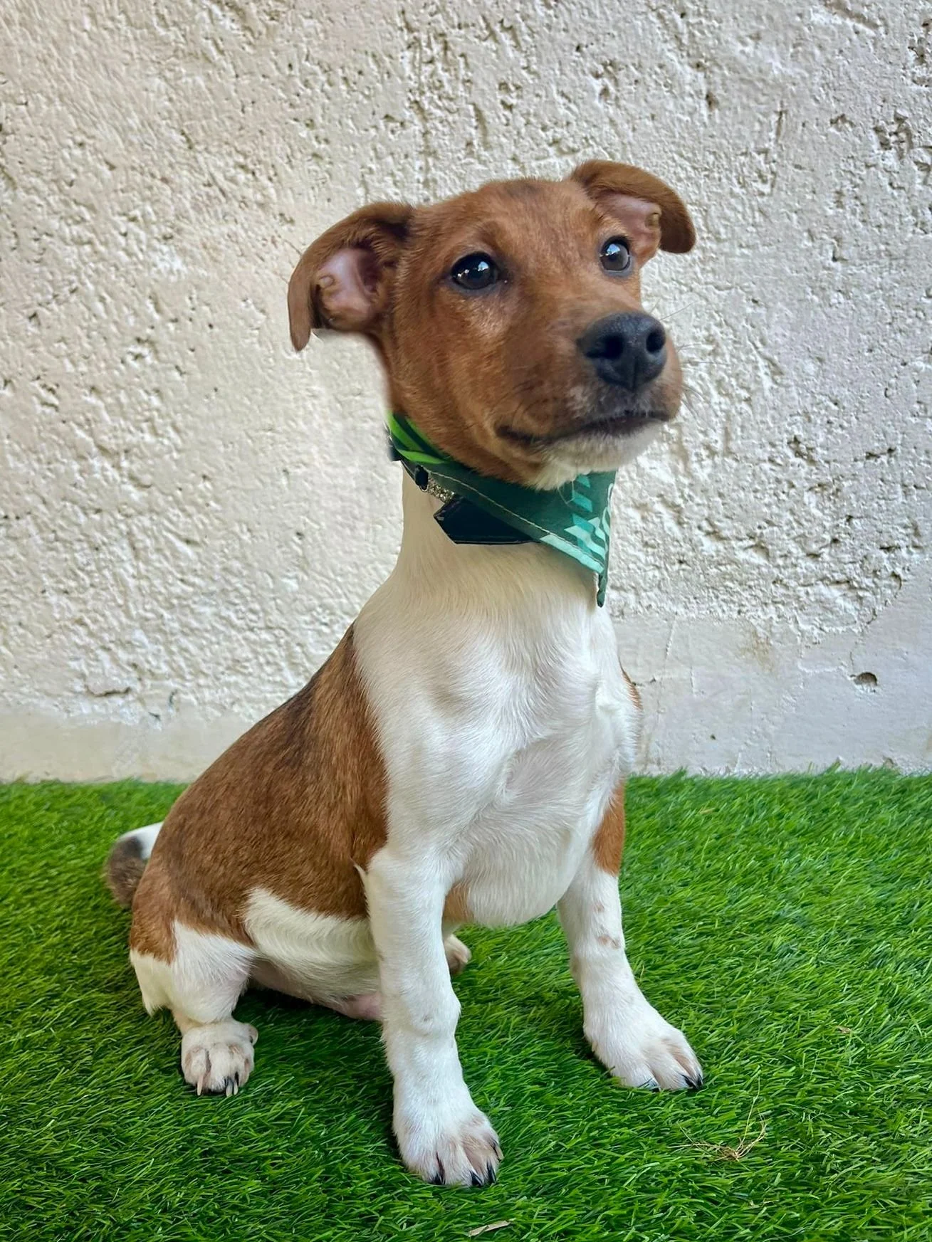 WhatsApp Image 2026-01-01 at 11.31.54.jpeg