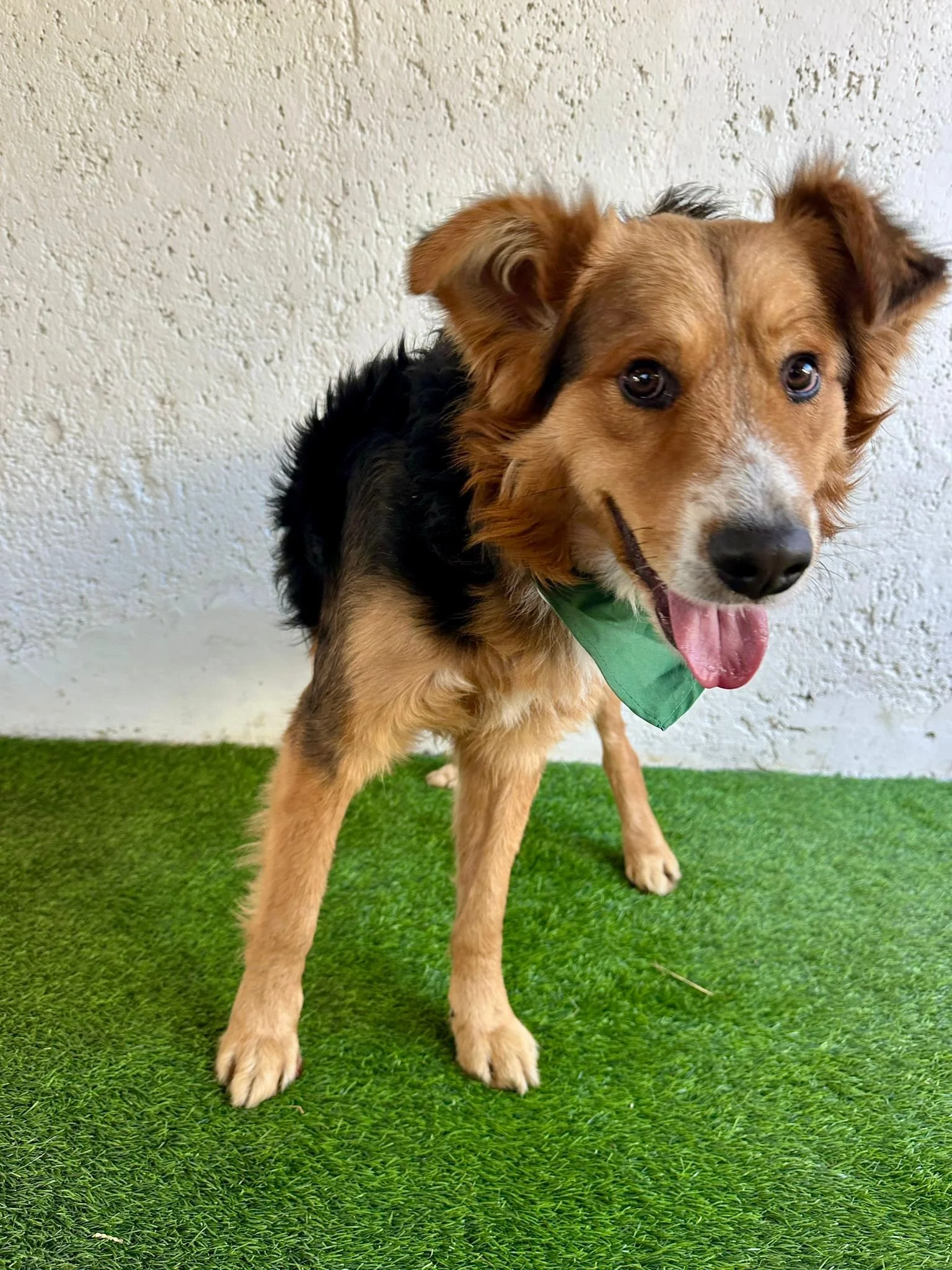 WhatsApp Image 2026-01-09 at 20.25.58 (3).jpeg