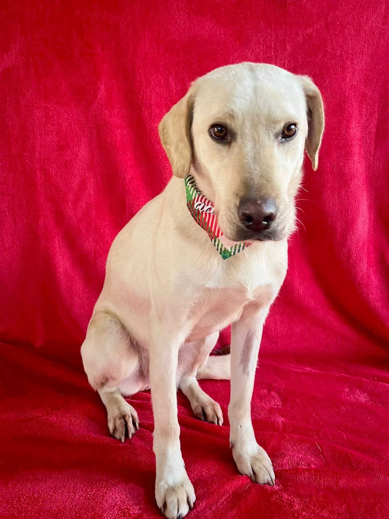 WhatsApp Image 2026-01-01 at 19.16.33 (3).jpeg