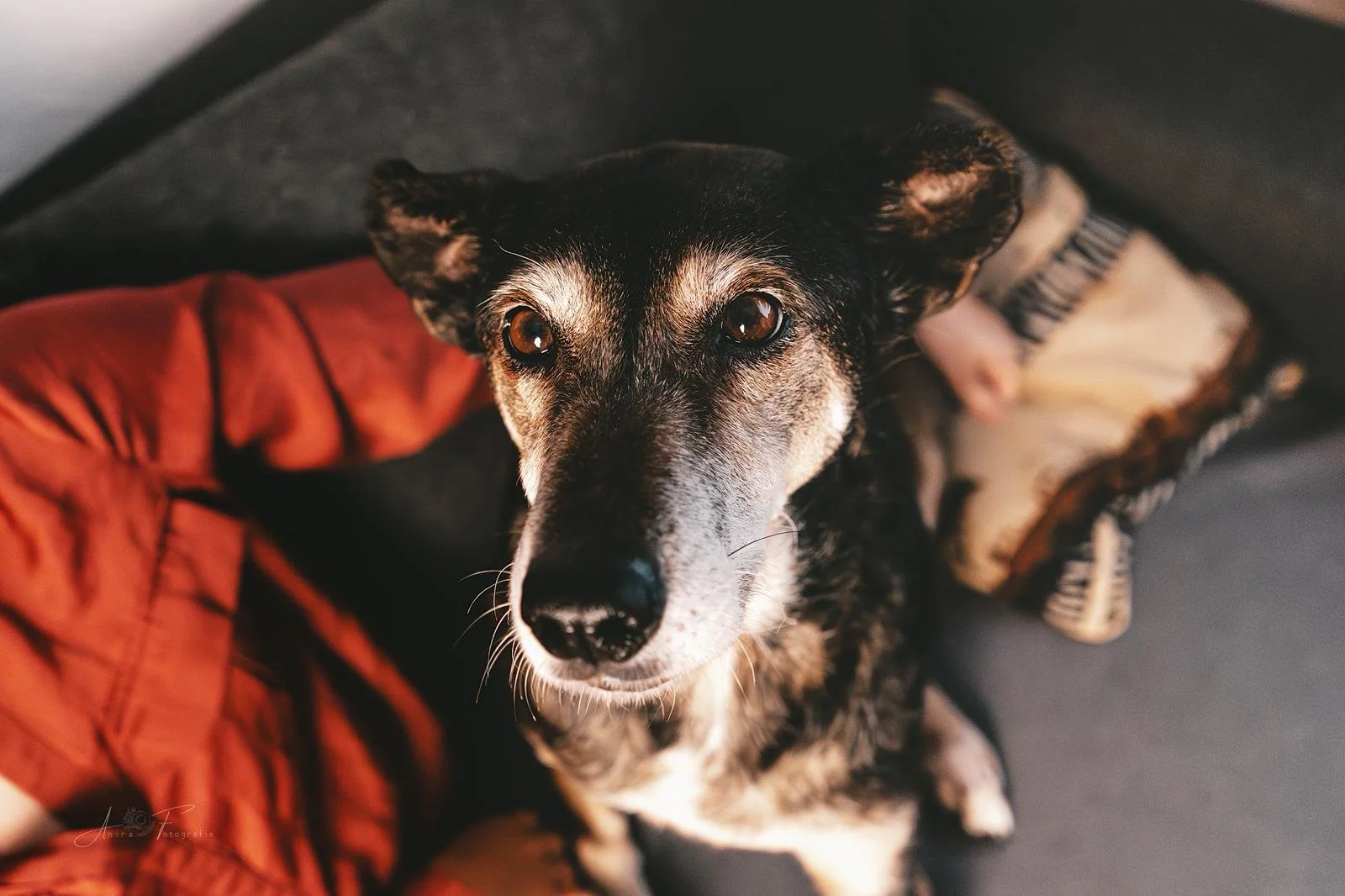 WhatsApp Image 2025-12-13 at 16.28.28.jpeg