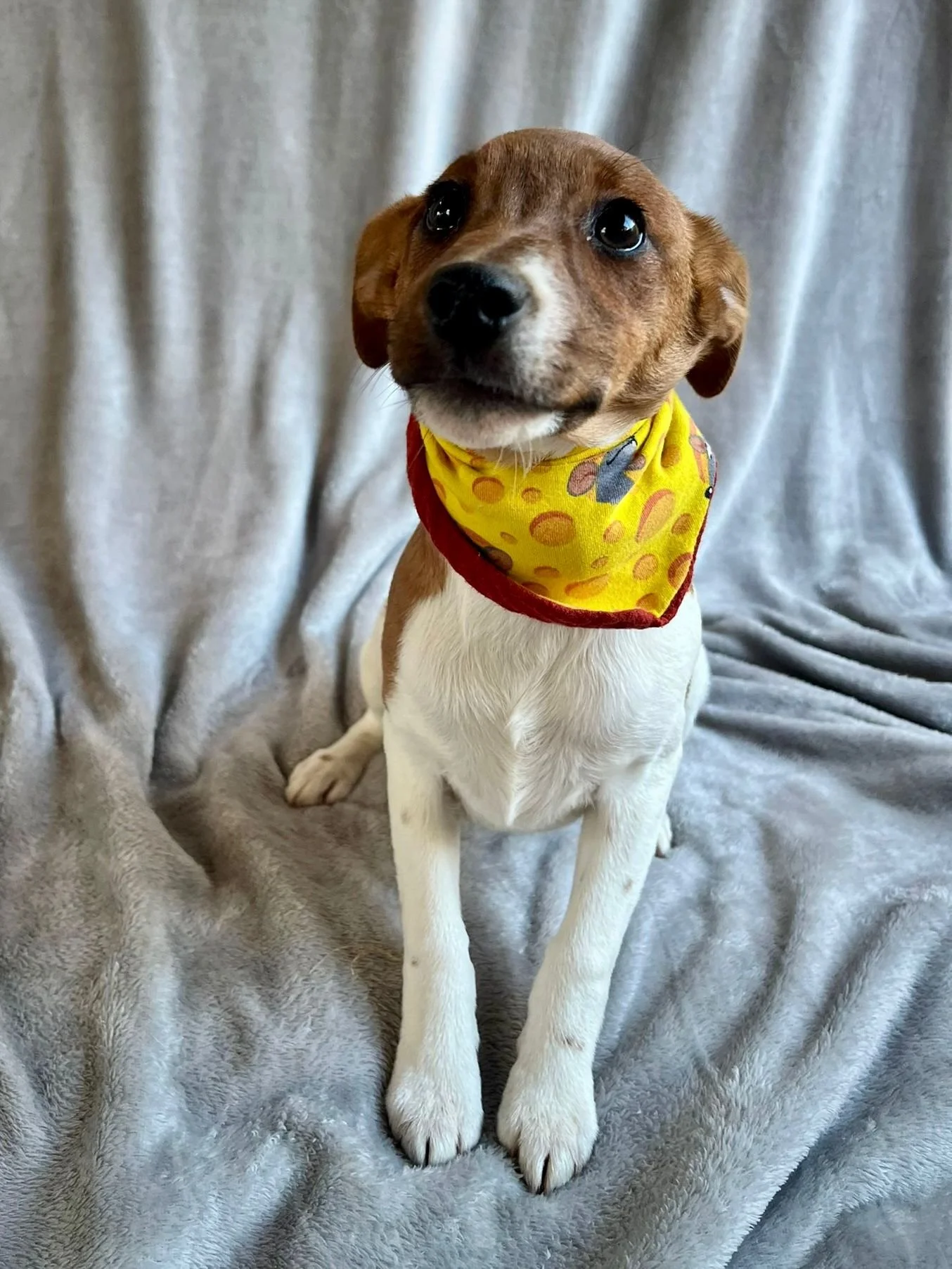 WhatsApp Image 2026-01-01 at 11.31.56 (2).jpeg