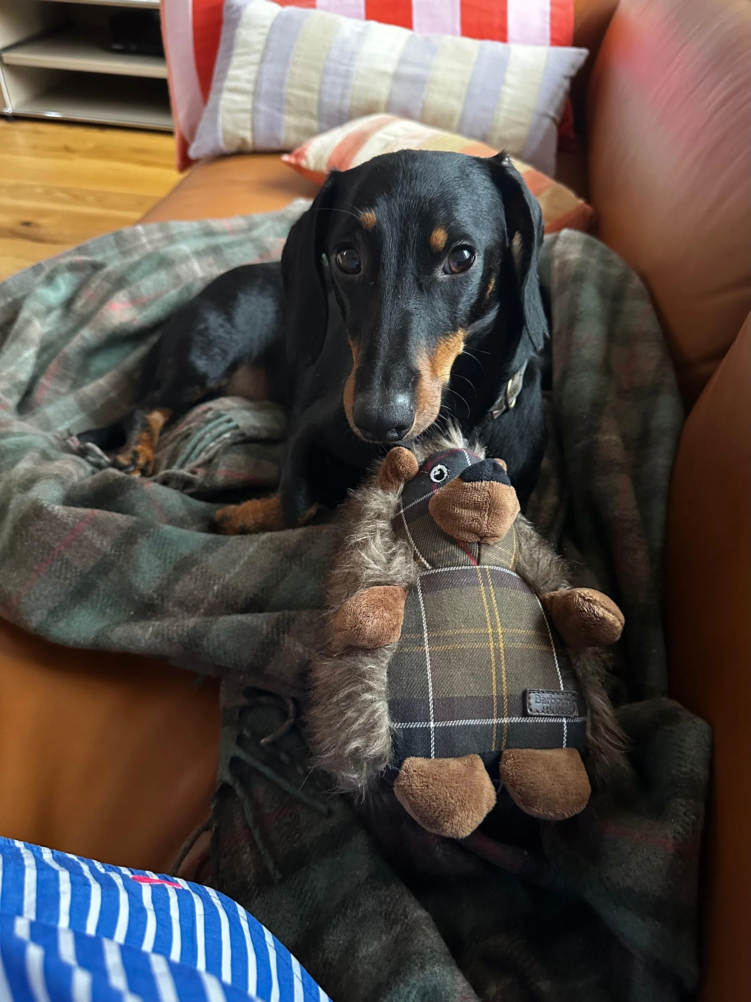 WhatsApp Image 2025-11-17 at 10.34.38 (2).jpeg