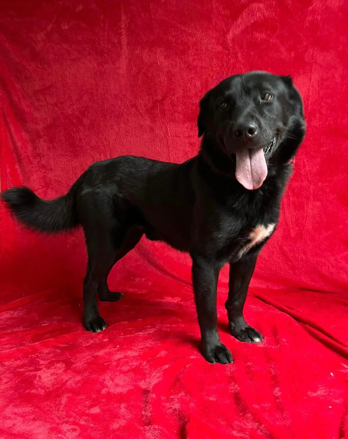 WhatsApp Image 2025-10-31 at 11.19.58.jpeg