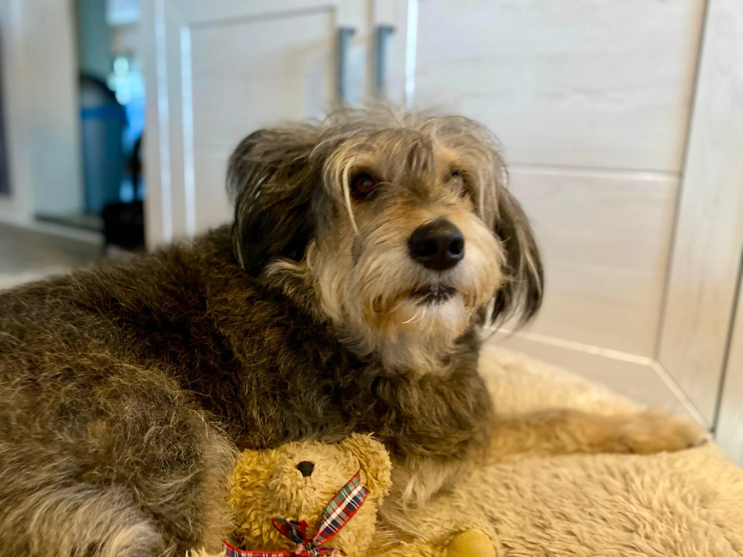 WhatsApp Image 2026-01-10 at 12.02.48 (1).jpeg