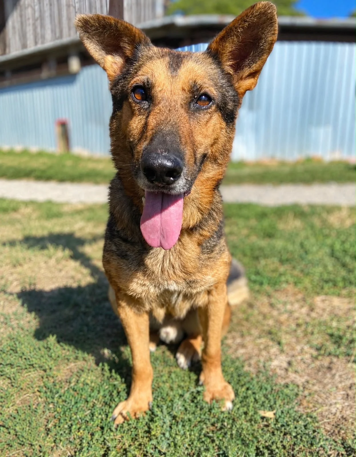 Tyson