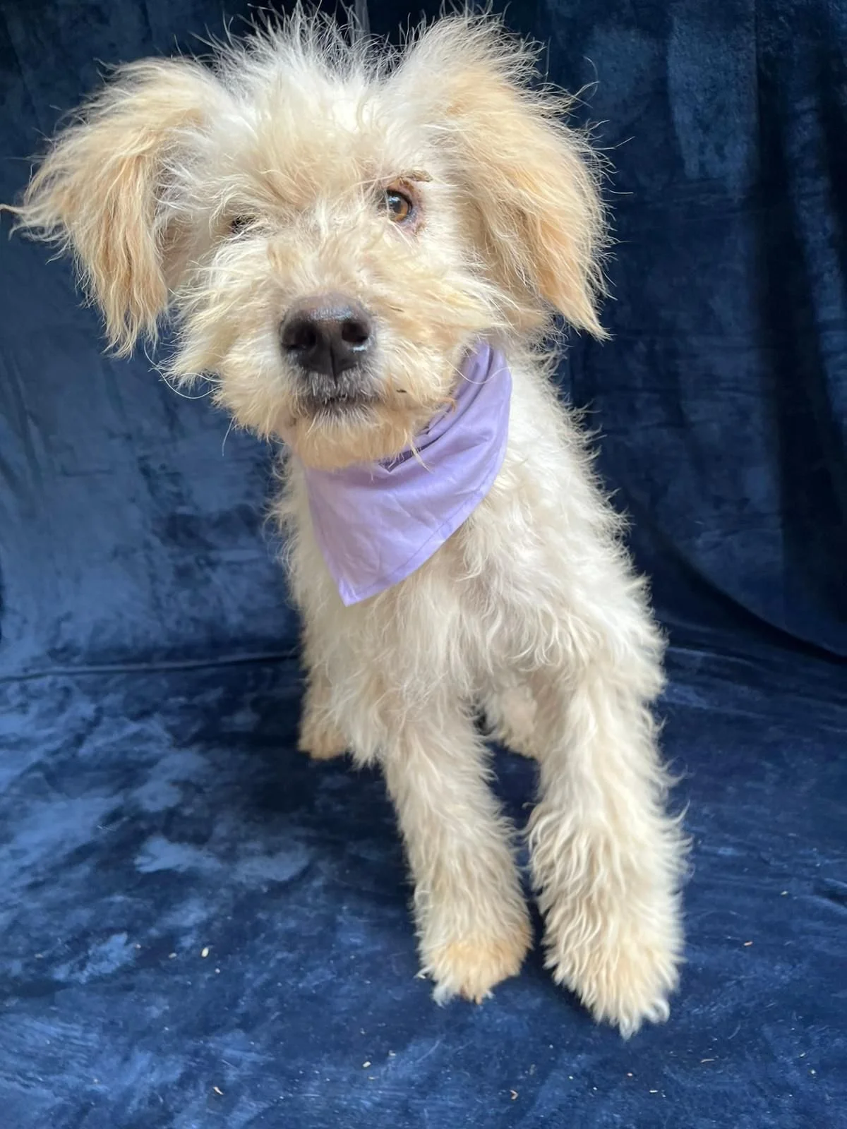 WhatsApp Image 2025-10-31 at 10.04.35.jpeg