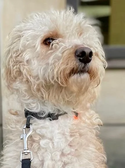 WhatsApp Image 2025-12-31 at 11.04.33.jpeg