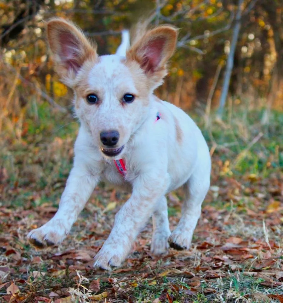 WhatsApp Image 2025-11-18 at 11.34.52.jpeg