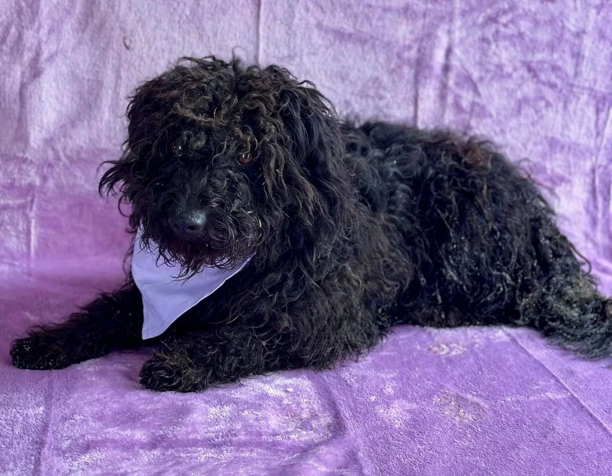 WhatsApp Image 2026-01-20 at 15.53.43.jpeg