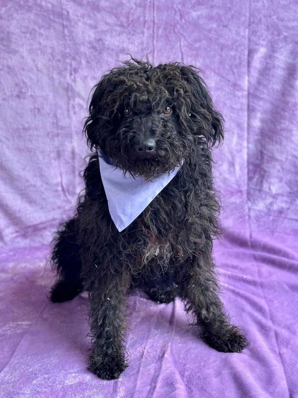 WhatsApp Image 2026-01-20 at 15.53.39 (1).jpeg