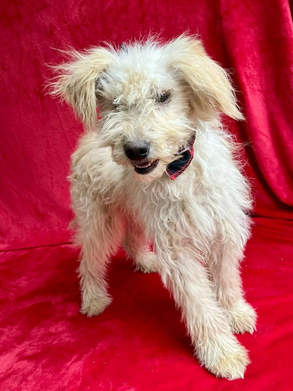 WhatsApp Image 2025-10-31 at 10.04.33 (1).jpeg