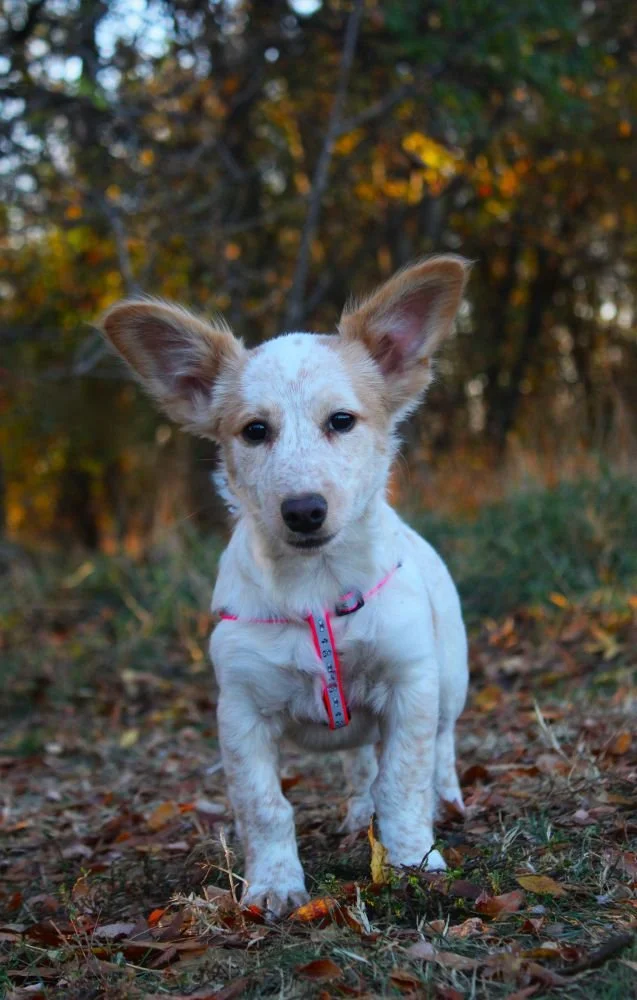 WhatsApp Image 2025-11-18 at 11.34.51.jpeg