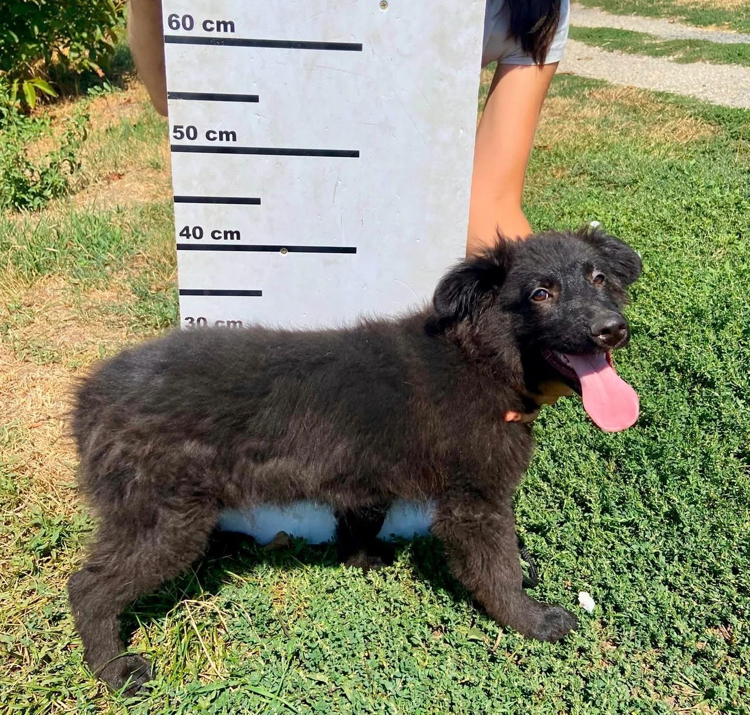f4e59e84-e339-4bc6-85d1-e4228408fde0.JPG