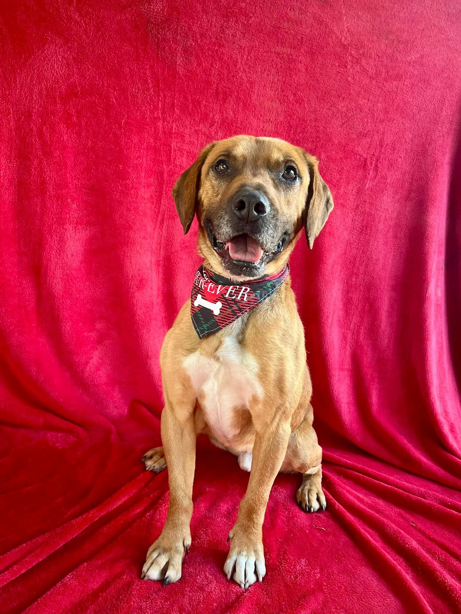 WhatsApp Image 2026-01-10 at 15.07.55.jpeg