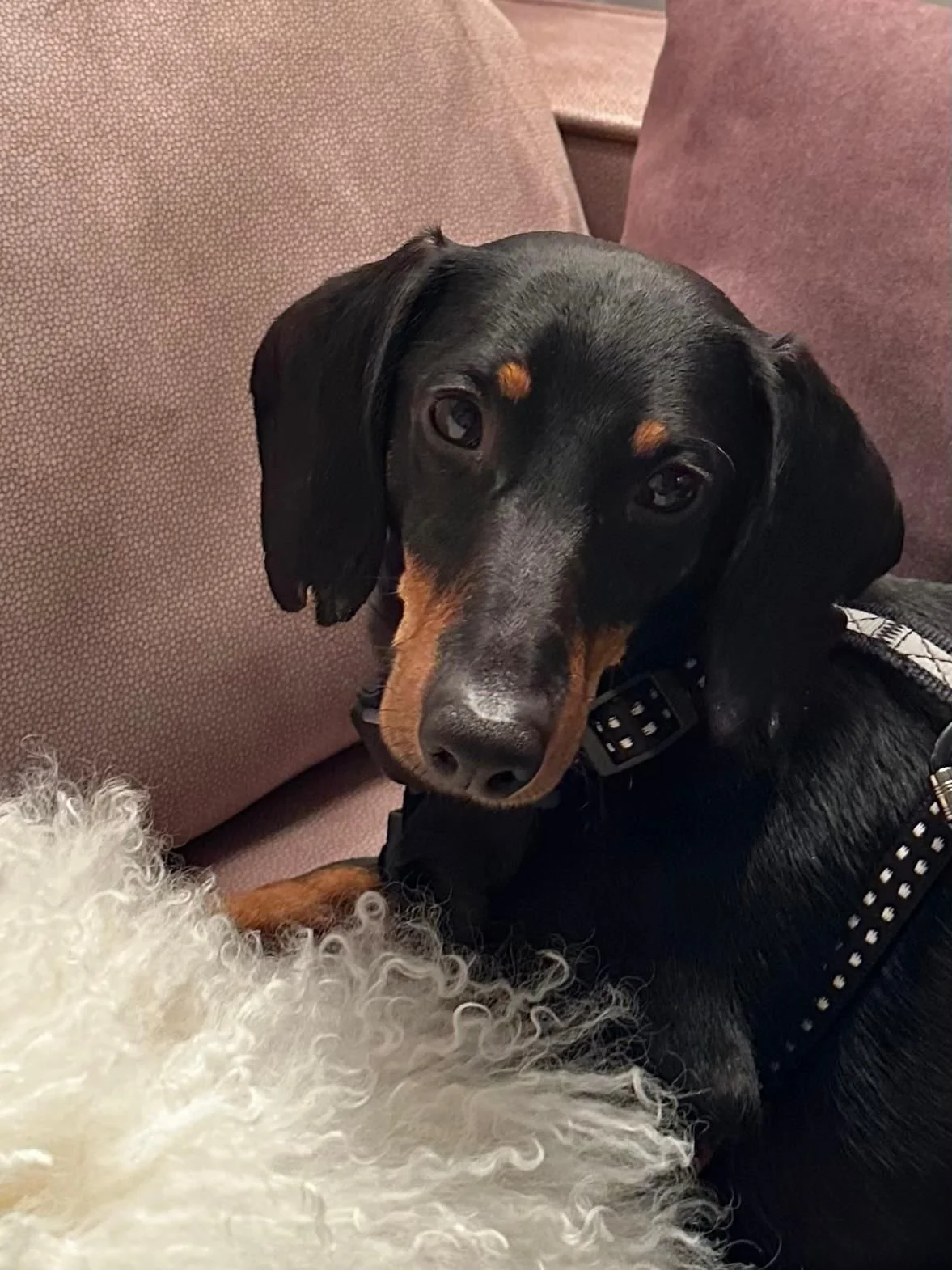 WhatsApp Image 2025-11-17 at 10.34.40.jpeg