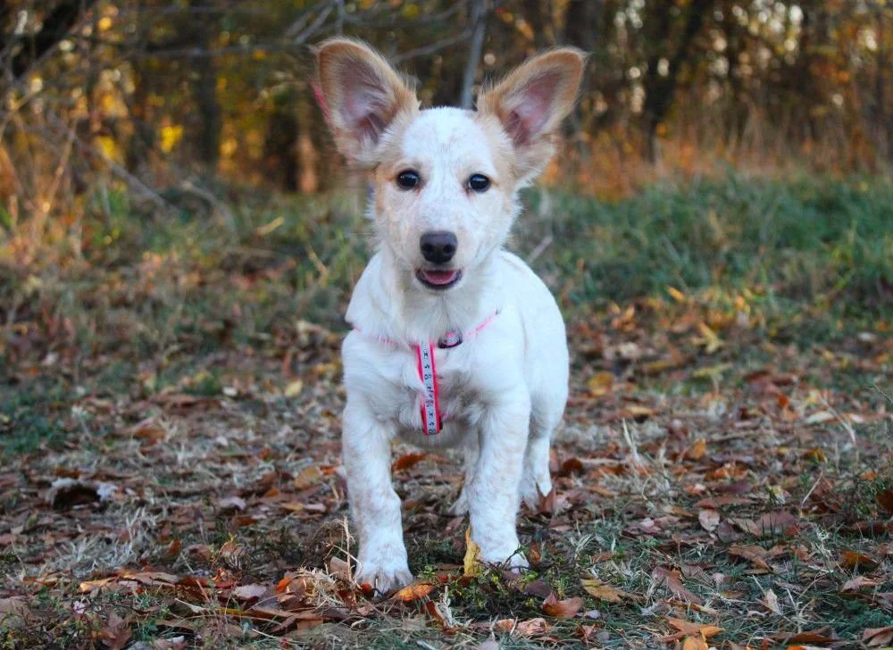 WhatsApp Image 2025-11-18 at 11.34.51 (1).jpeg