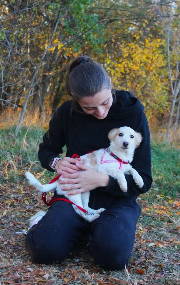 WhatsApp Image 2025-11-18 at 11.34.50 (2).jpeg