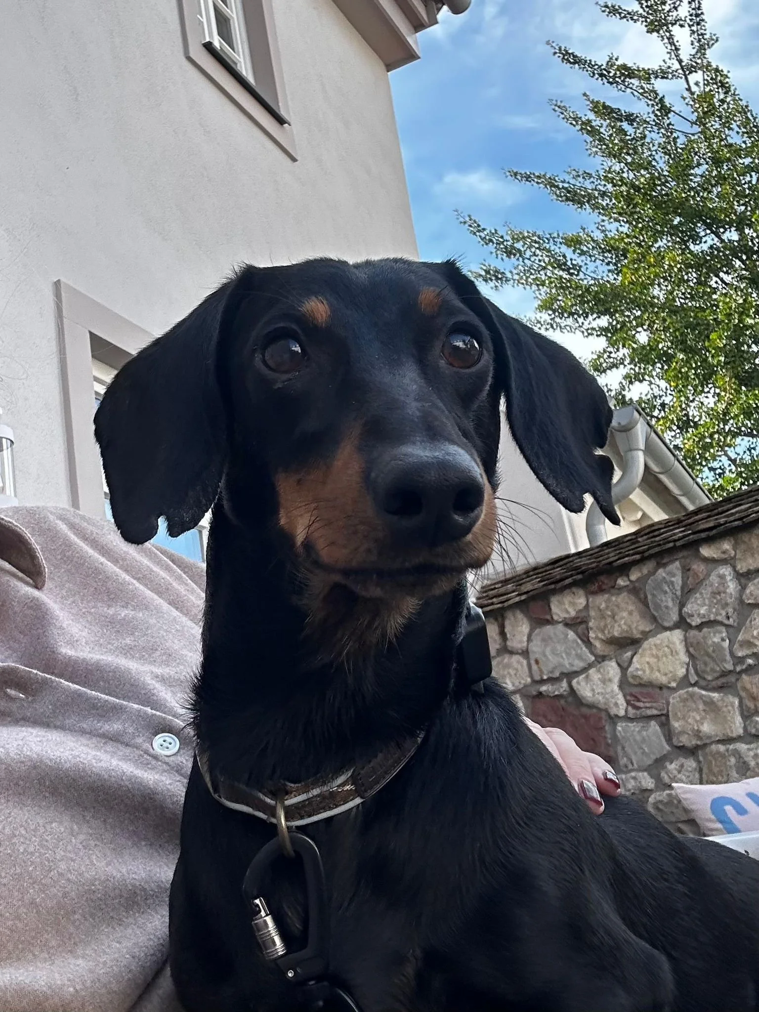 WhatsApp Image 2025-11-17 at 10.34.41.jpeg