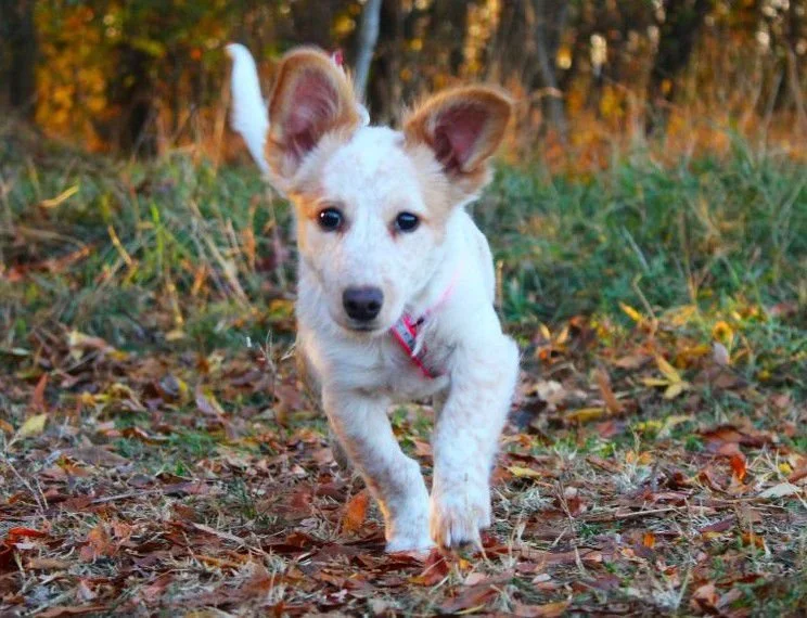 WhatsApp Image 2025-11-18 at 11.34.51 (2).jpeg