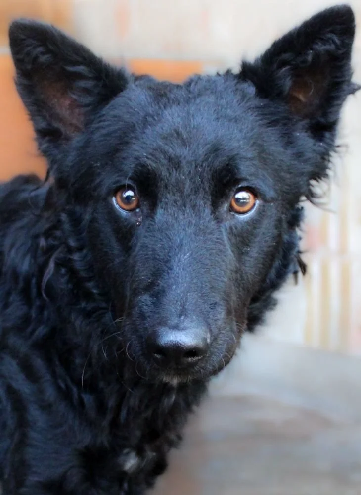 WhatsApp Image 2025-10-28 at 16.52.52 (1).jpeg