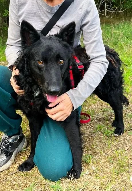 WhatsApp Image 2025-10-28 at 16.52.53 (3).jpeg