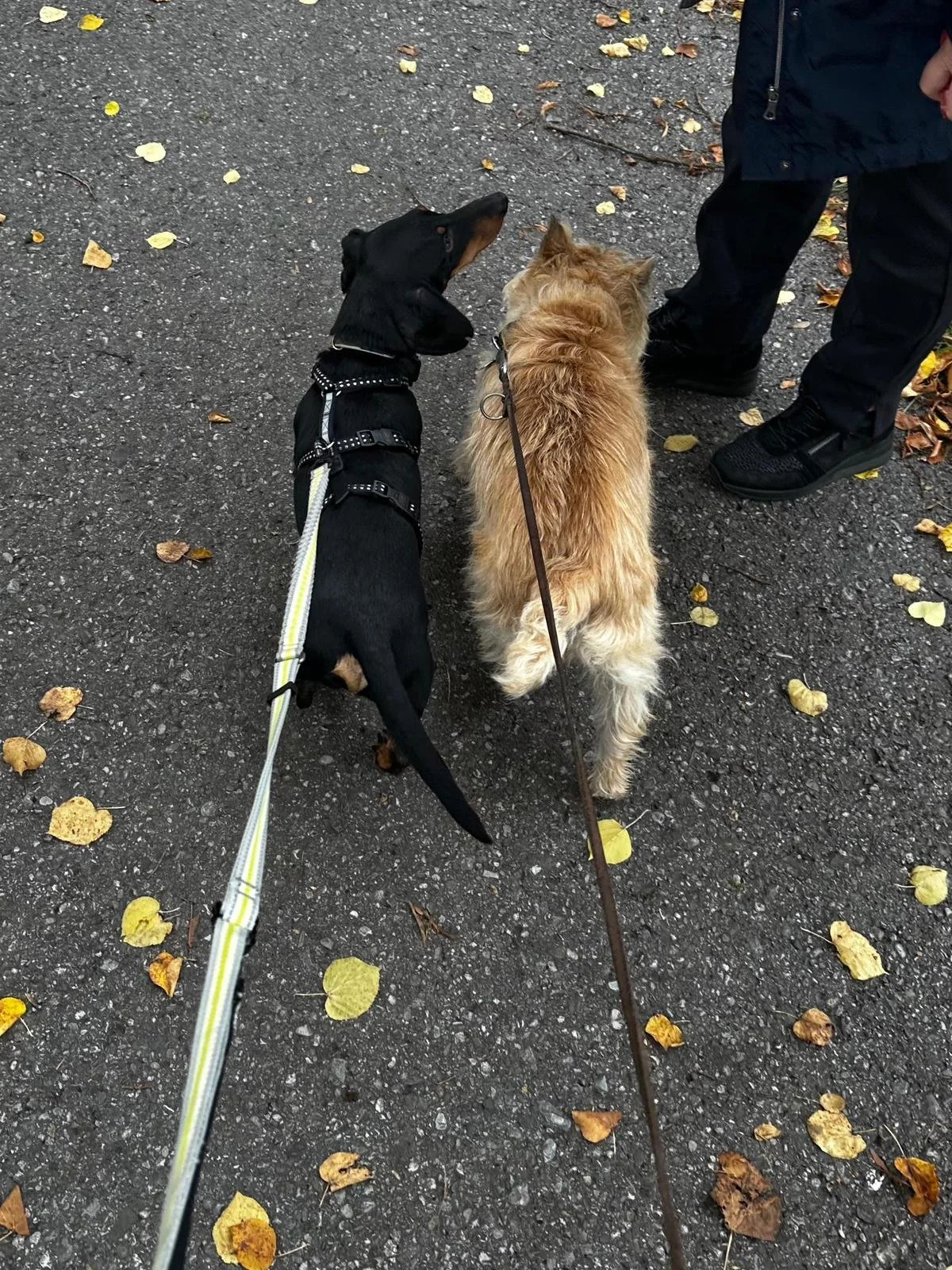 WhatsApp Image 2025-11-17 at 10.34.39 (2).jpeg