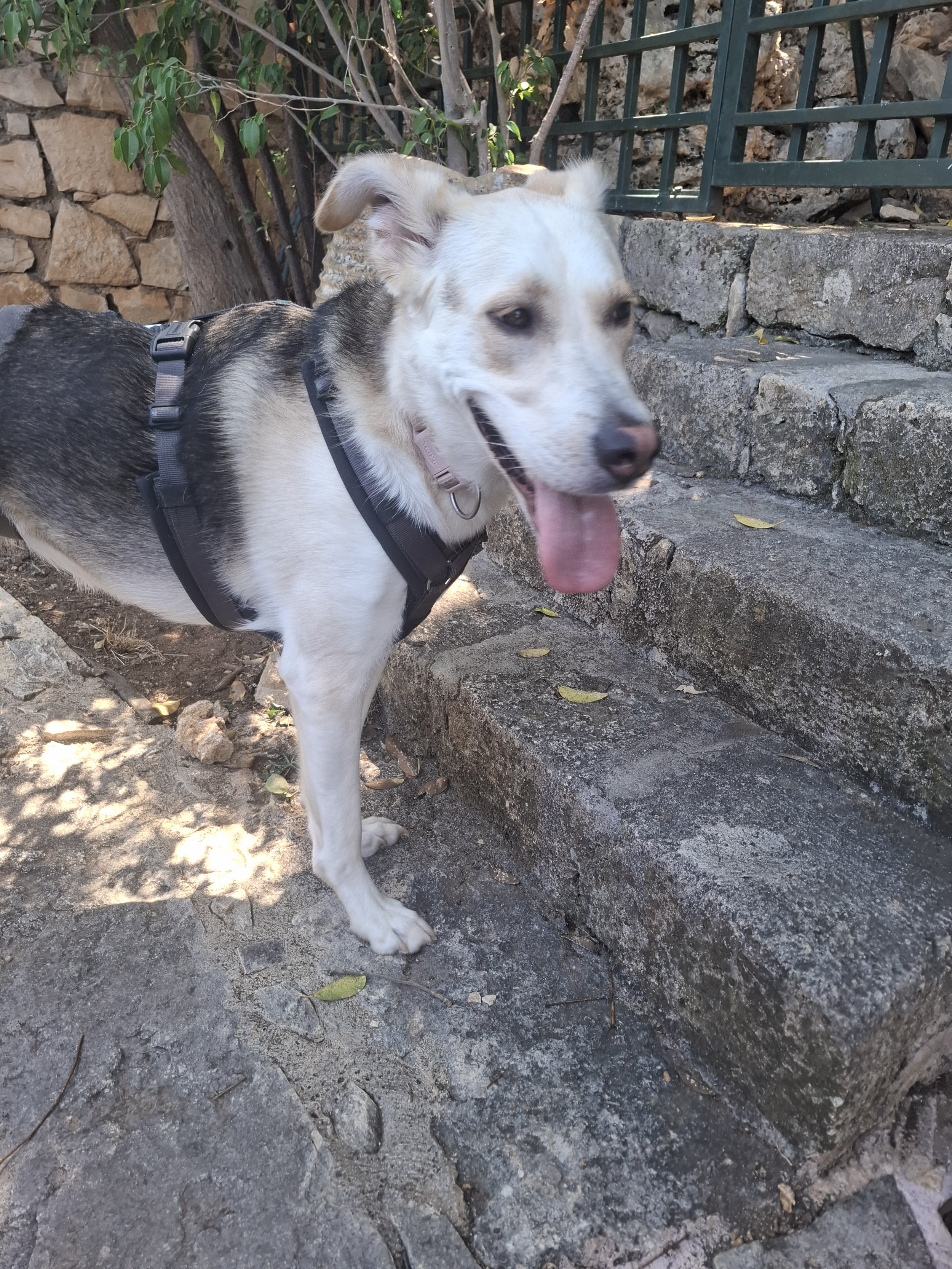 20260718_120402.jpeg