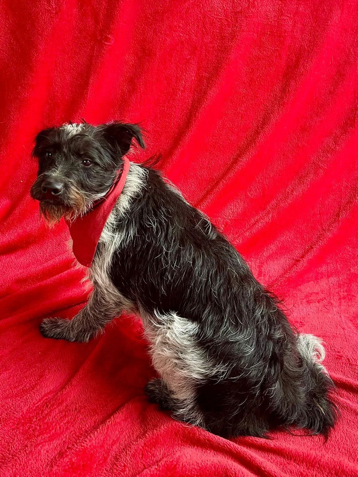 WhatsApp Image 2026-01-03 at 17.56.42 (2).jpeg