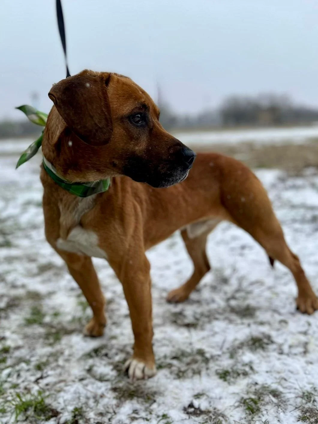 WhatsApp Image 2026-01-10 at 15.07.52.jpeg