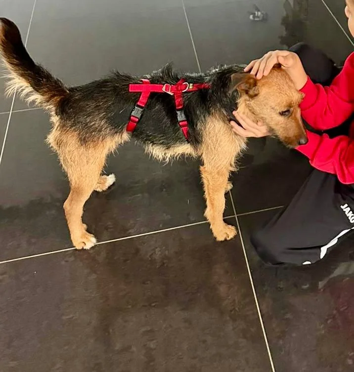 WhatsApp Image 2025-12-19 at 14.41.25 (1).jpeg