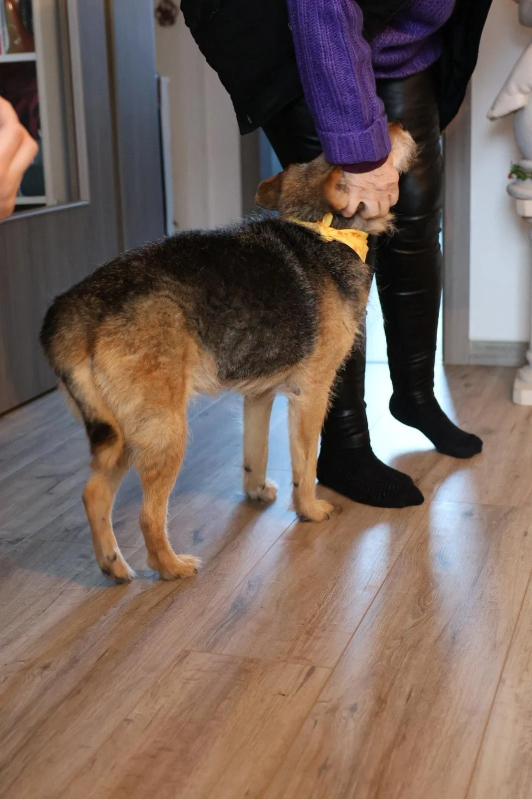 WhatsApp Image 2026-01-24 at 19.38.52 (1).jpeg